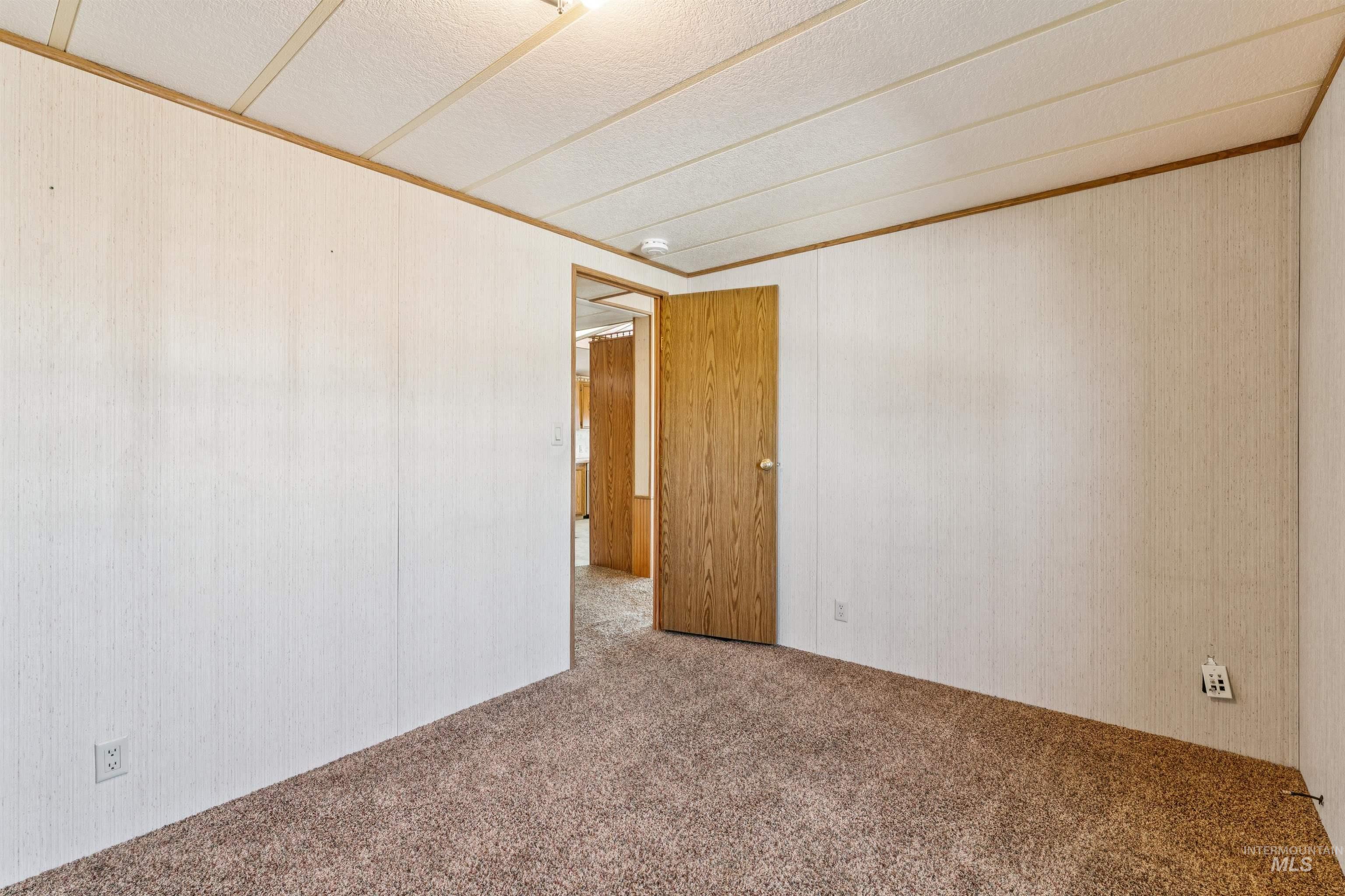 Carpeted spare room featuring crown molding