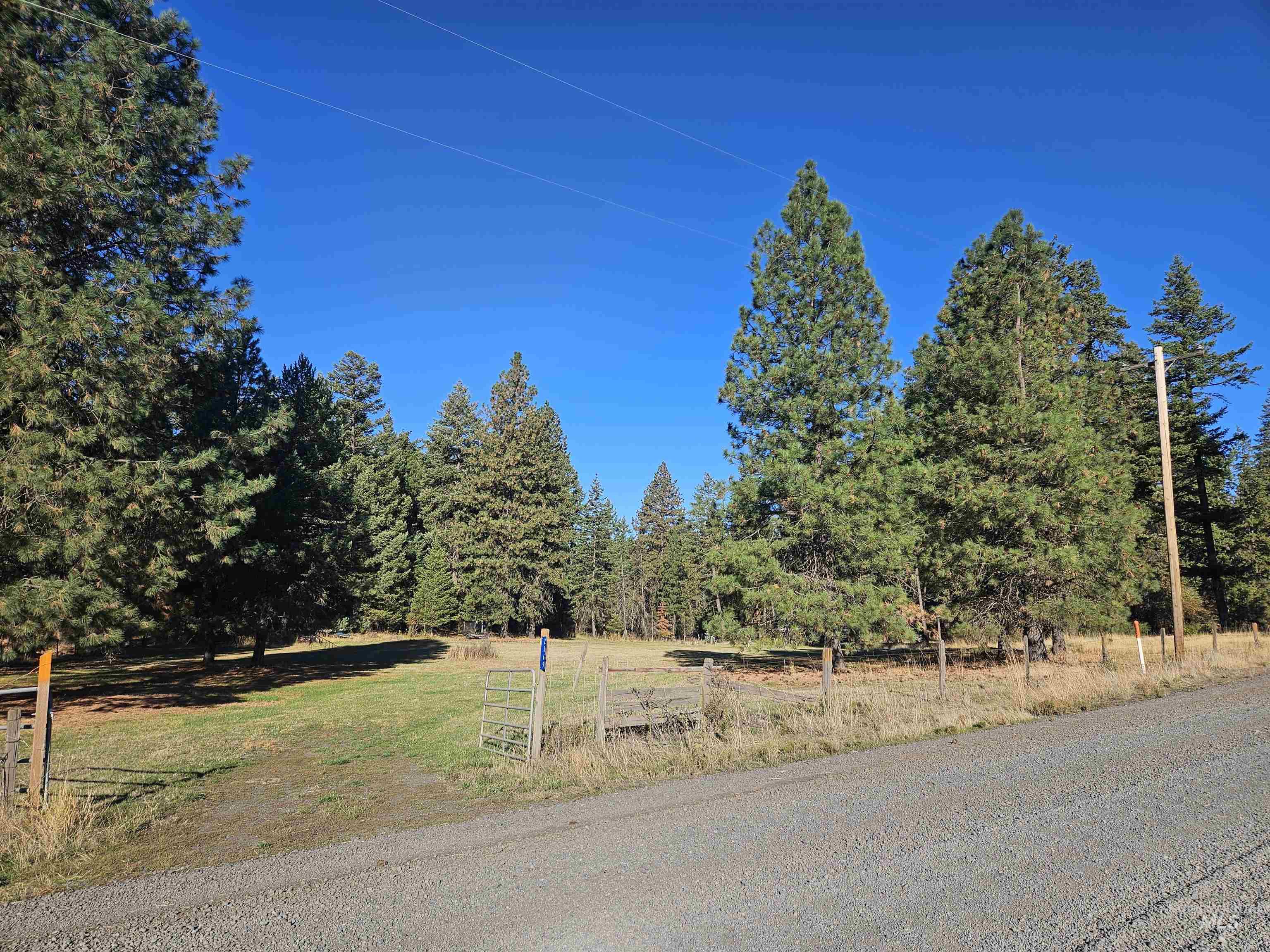 View of dirt / gravel road