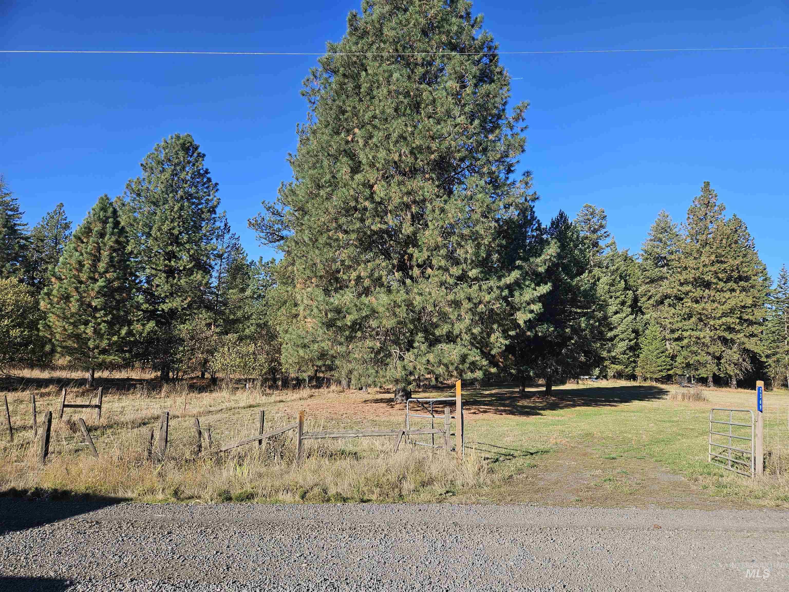 View of yard with a view of rural / pastoral area
