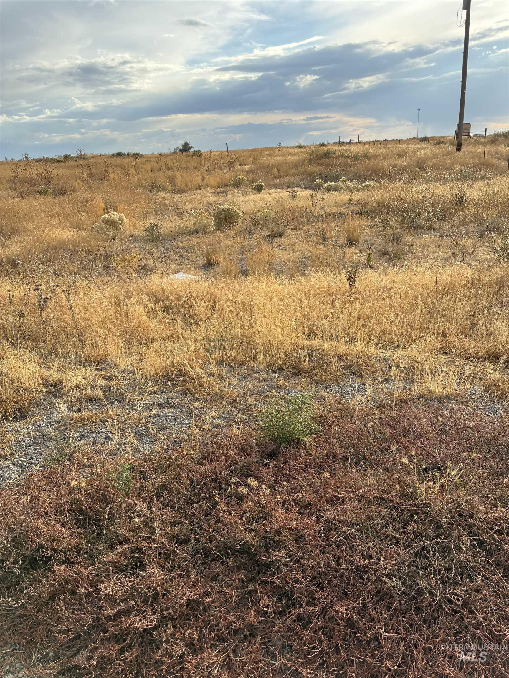View of local wilderness with rural landscape