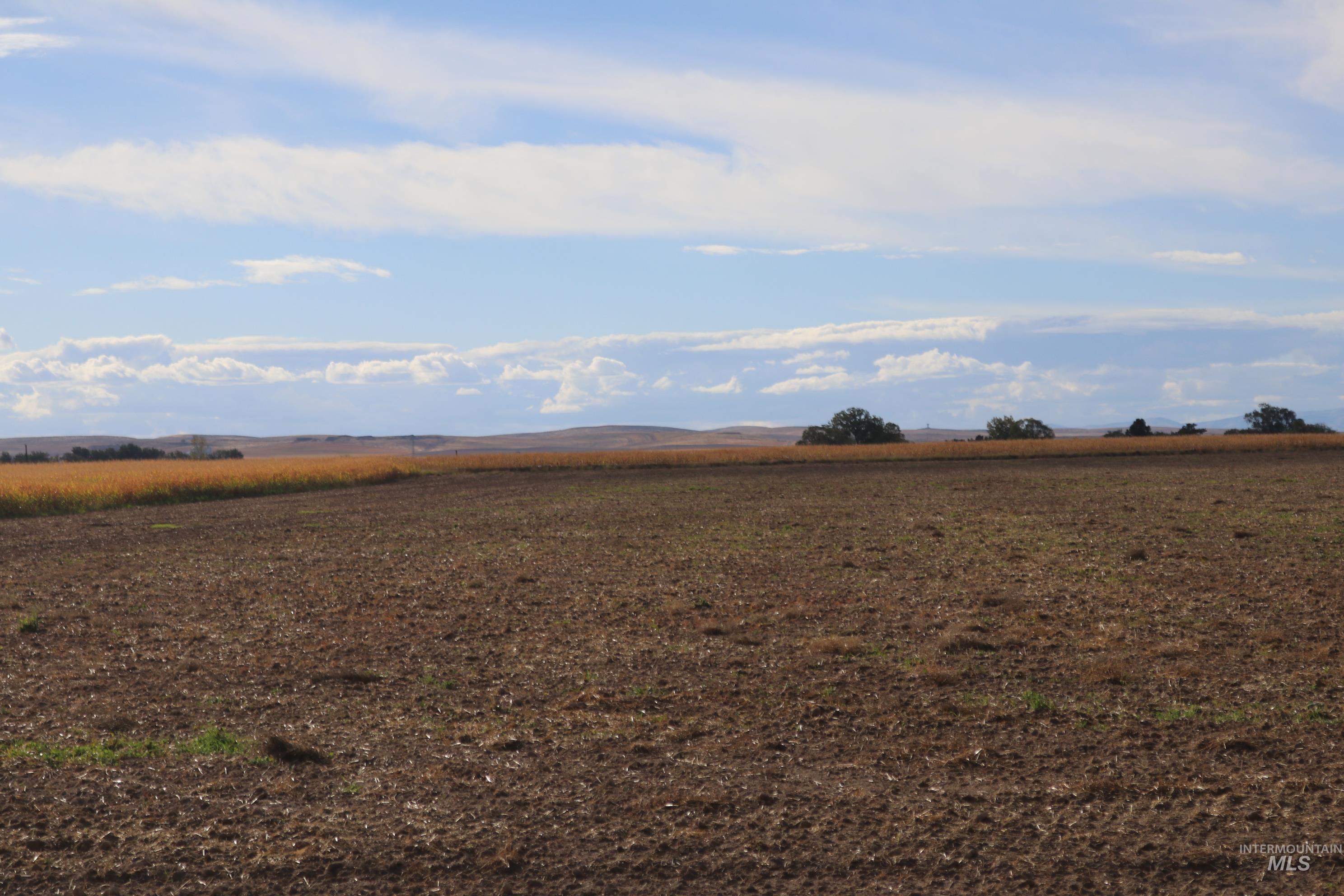 View of yard featuring a view of rural / pastoral area