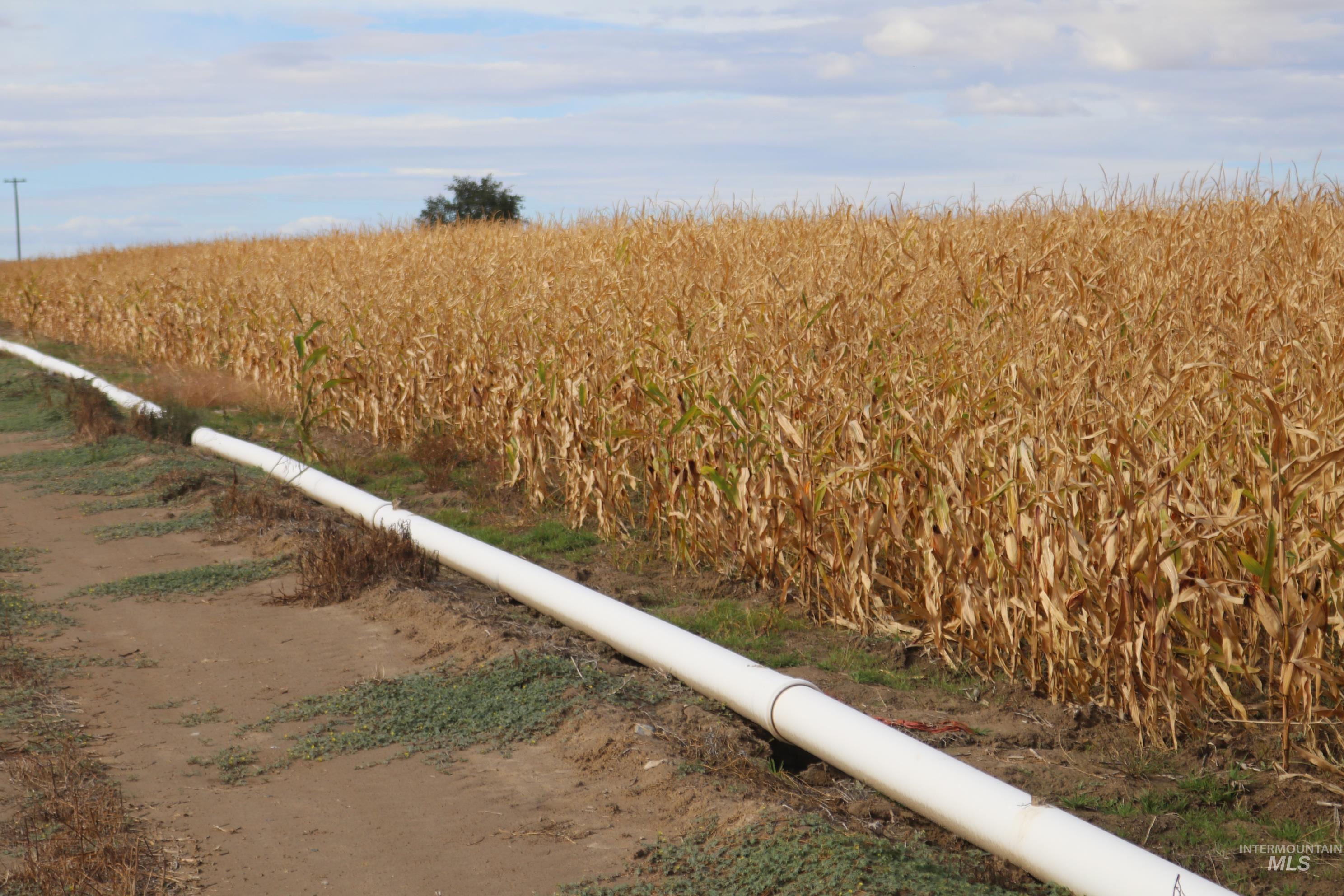 Surrounding community with agricultural area and a view of rural / pastoral area