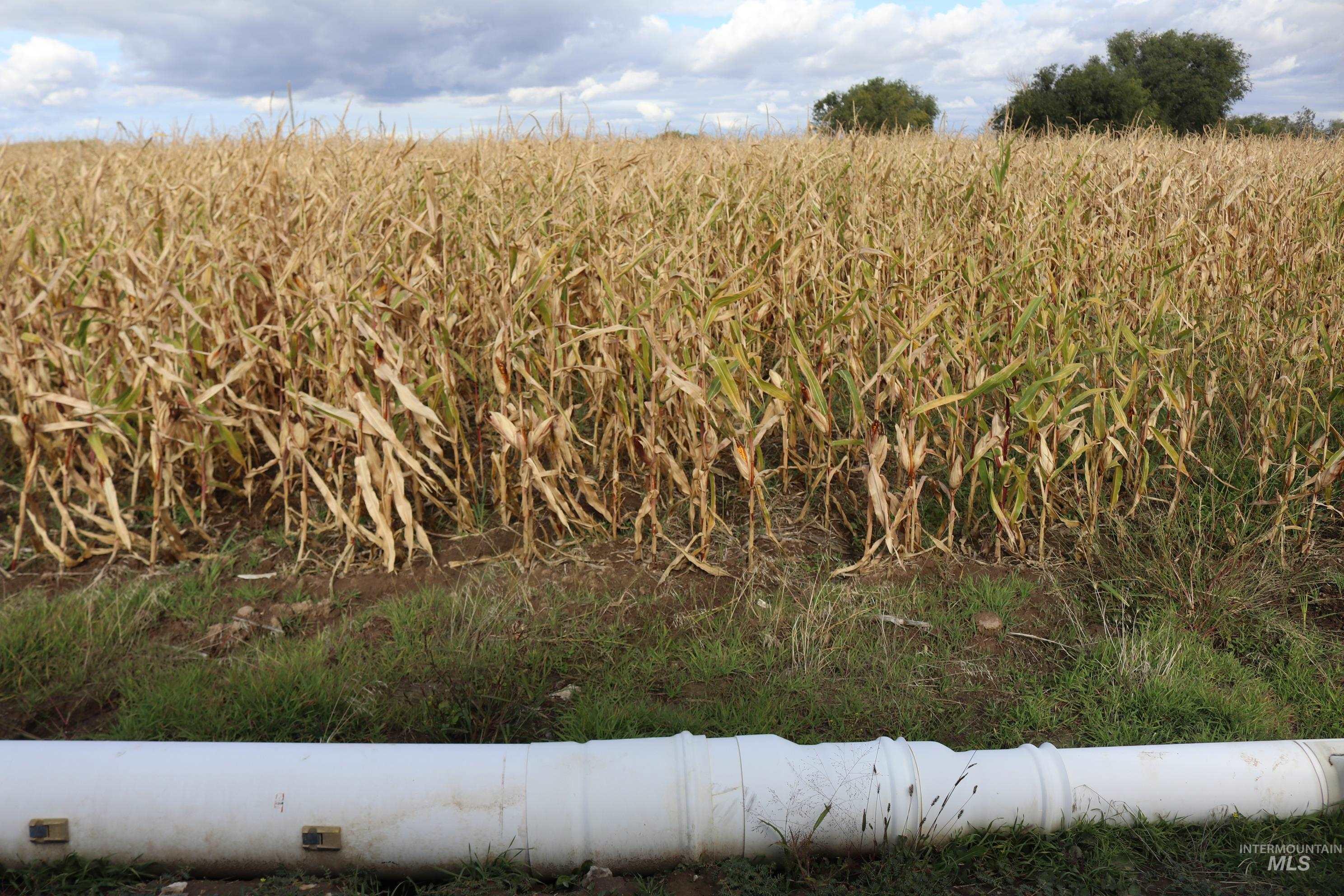 View of nature featuring rural landscape
