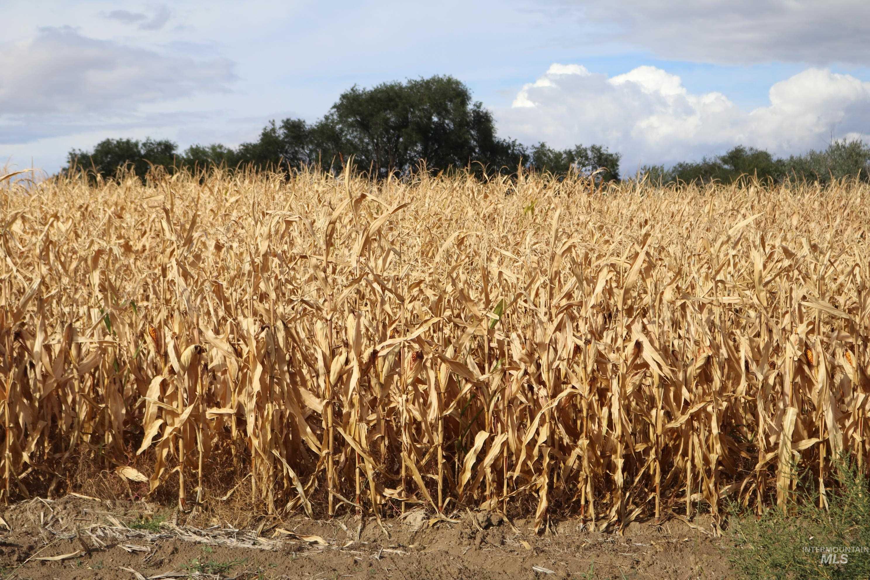 View of nature featuring rural landscape