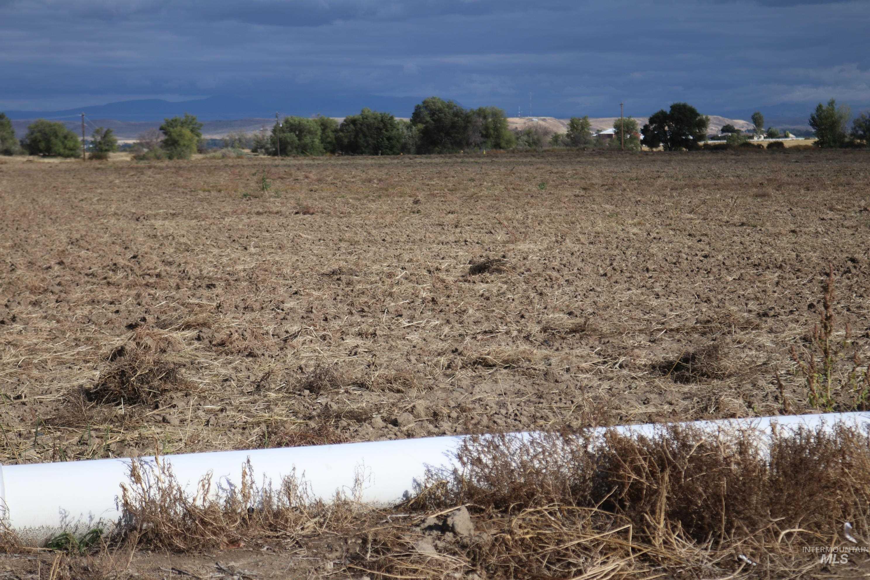 View of local wilderness with rural landscape