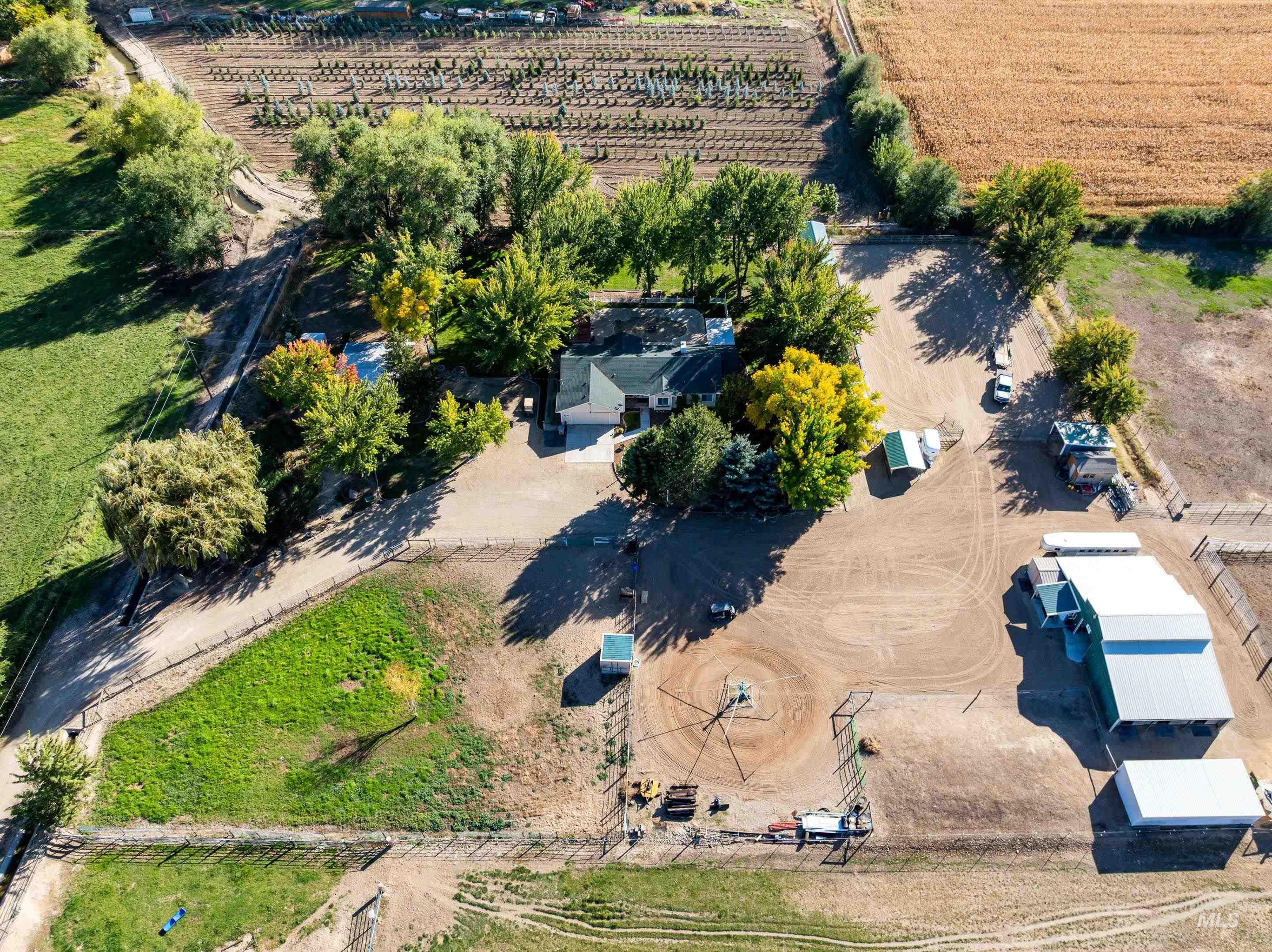 Overview of rural landscape with rows of crops