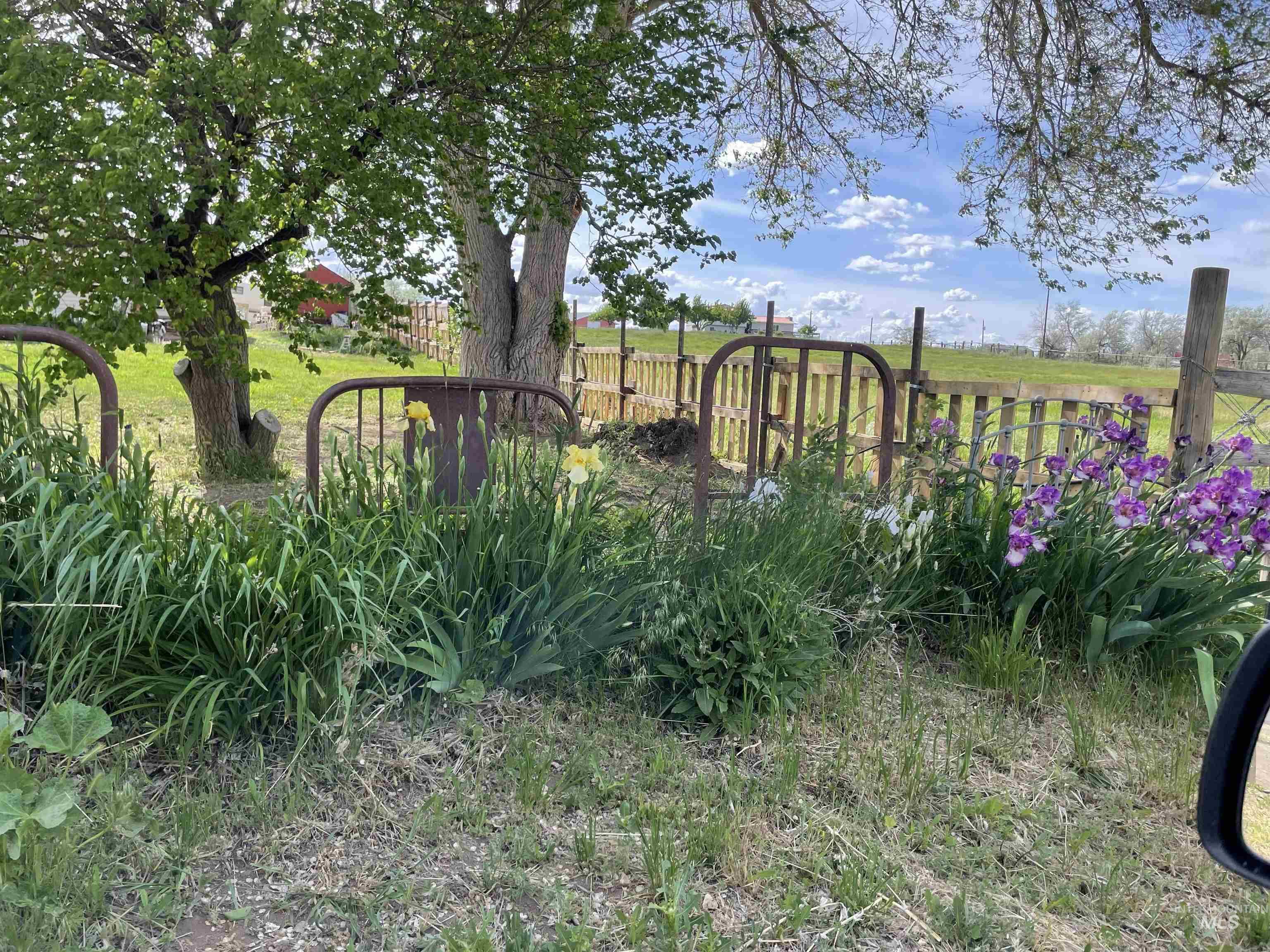4343 N 1200 E, Buhl, Idaho 83316, Land For Sale, Price $330,000, 98964353