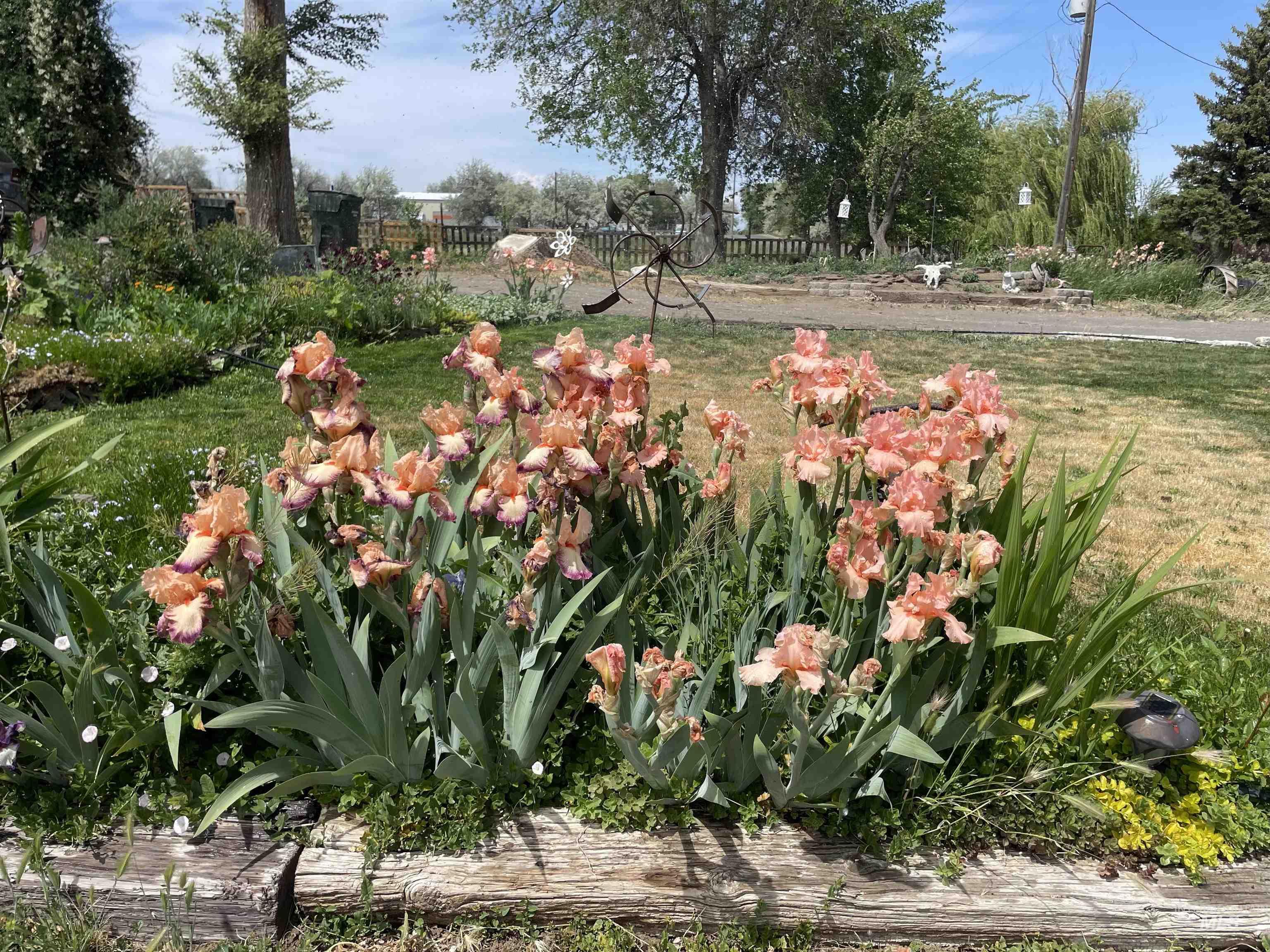 4343 N 1200 E, Buhl, Idaho 83316, Land For Sale, Price $330,000, 98964353