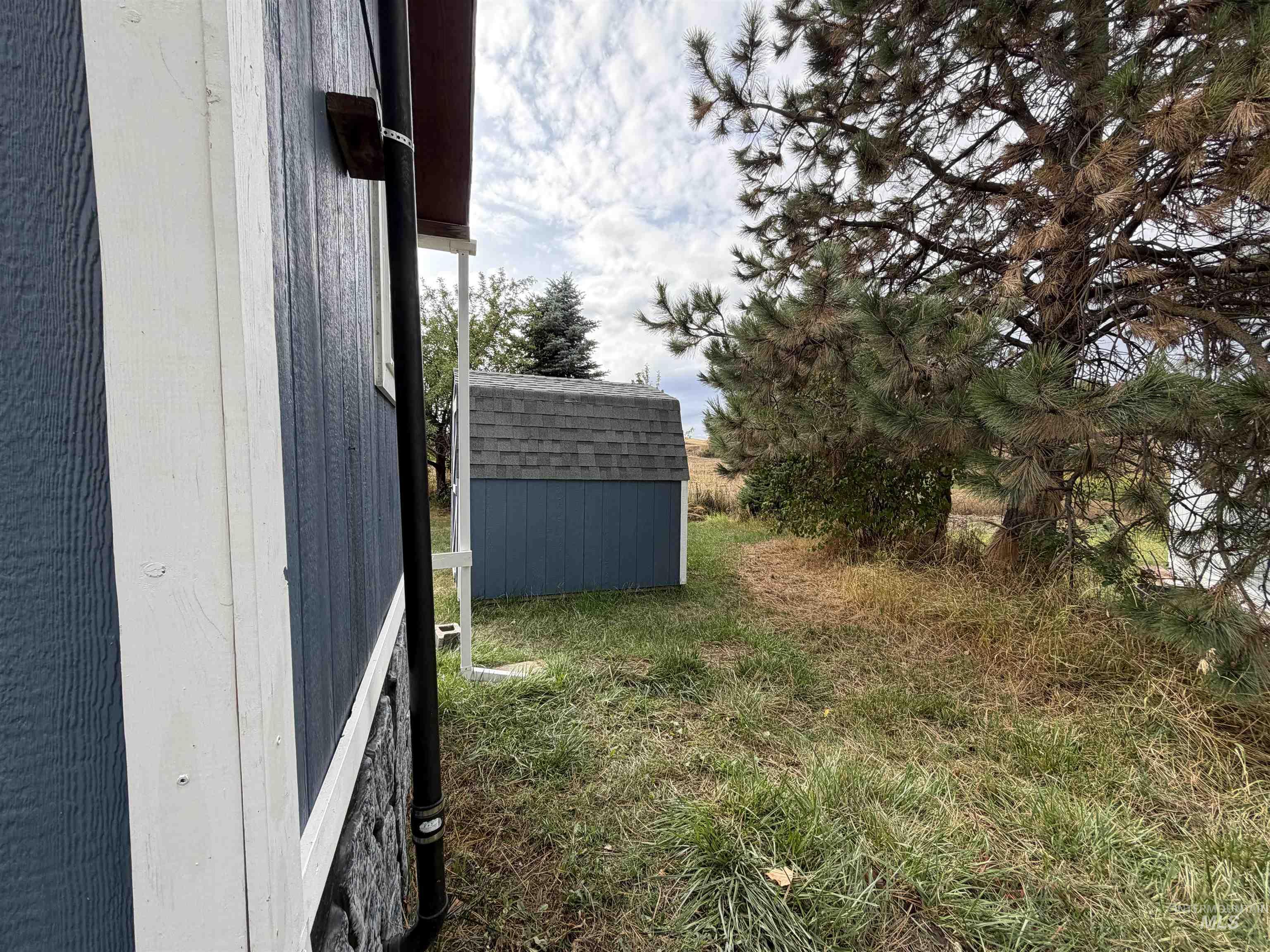 View of yard featuring a storage shed