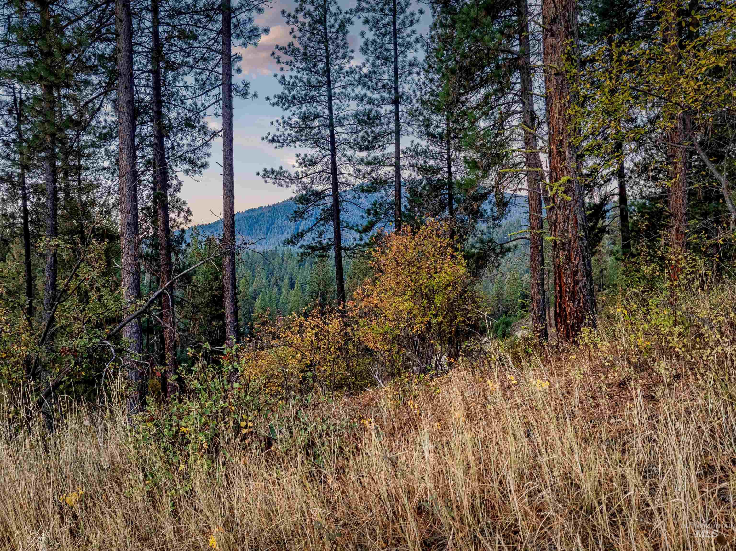 15 Killdeer Court, Garden Valley, Idaho 83622, Land For Sale, Price $297,000, 98964403