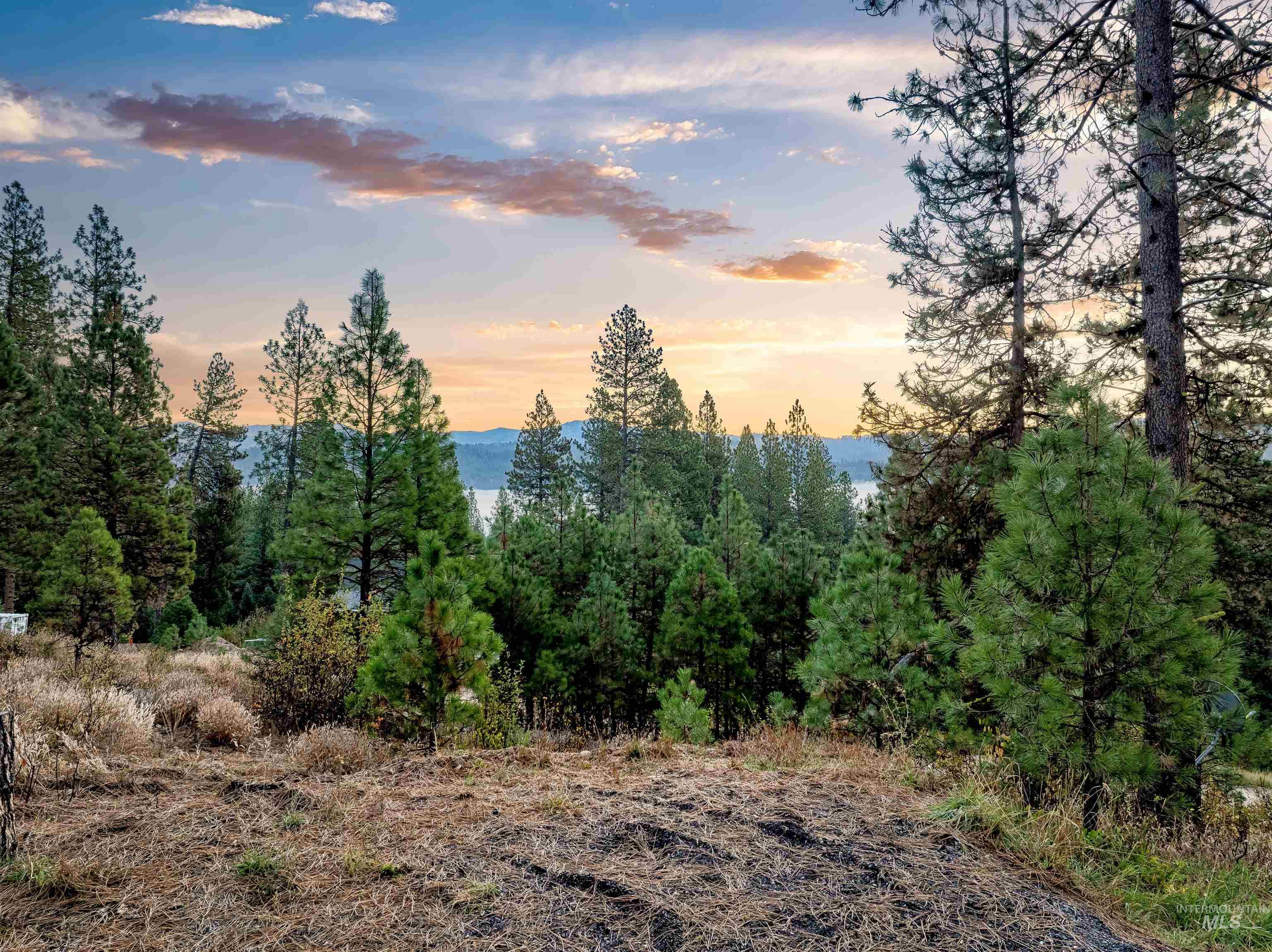 15 Killdeer Court, Garden Valley, Idaho 83622, Land For Sale, Price $297,000, 98964403