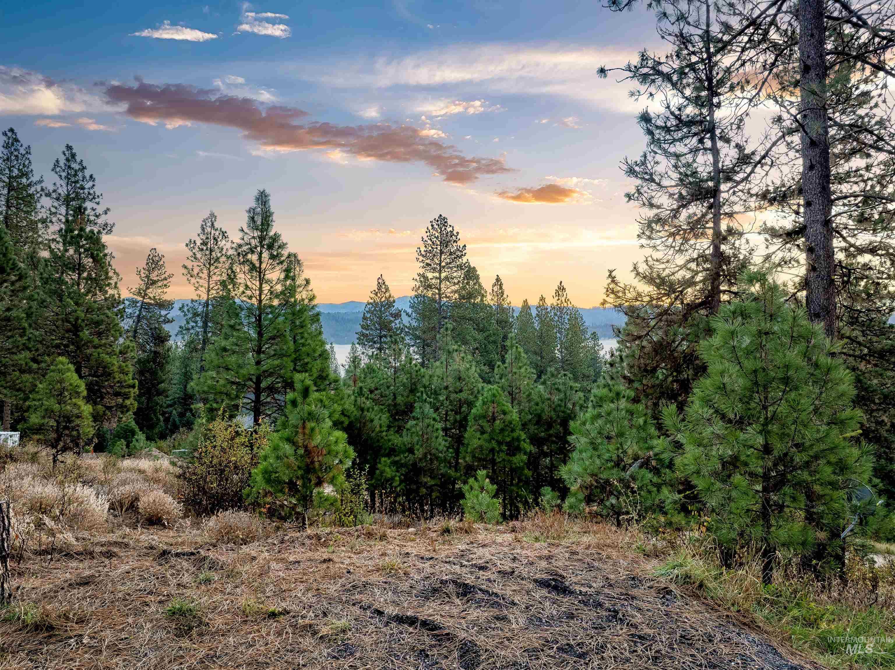 15 Killdeer Court, Garden Valley, Idaho 83622, Land For Sale, Price $297,000, 98964403