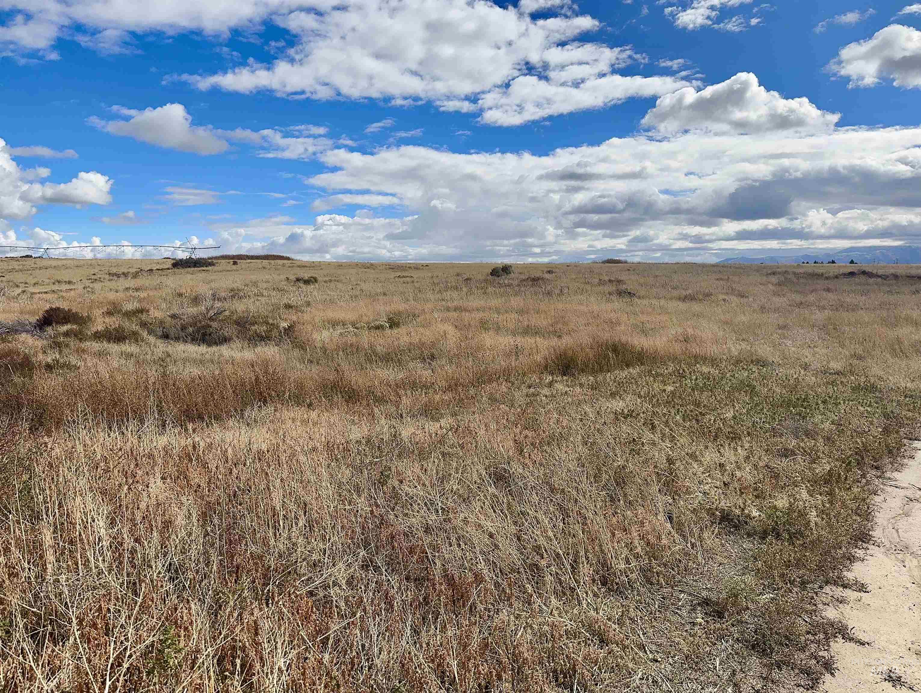 View of local wilderness with rural landscape