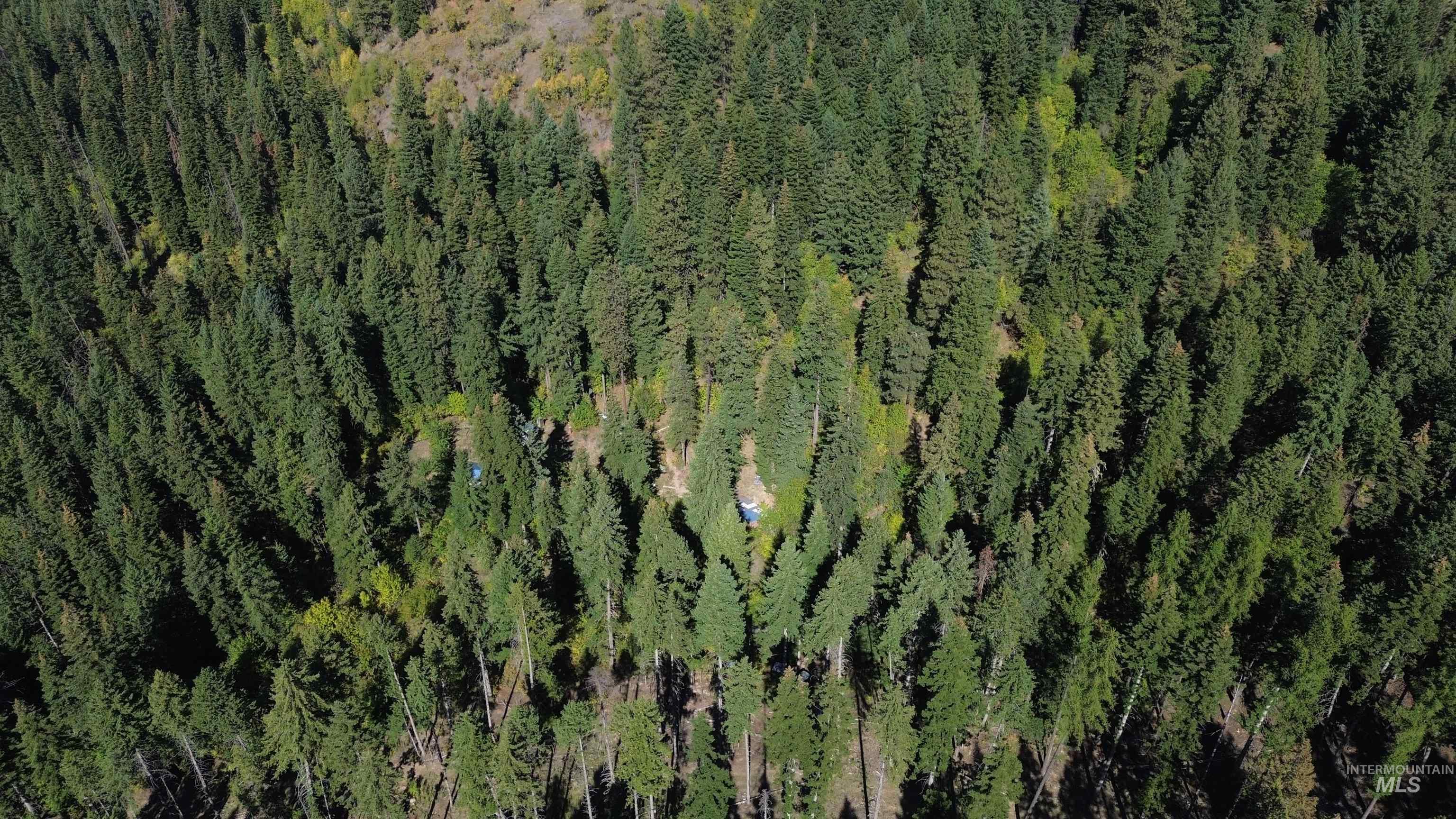 1893 Tom Ho Rd, Orofino, Idaho 83544, Residential For Sale, Price $239,000, 98964455