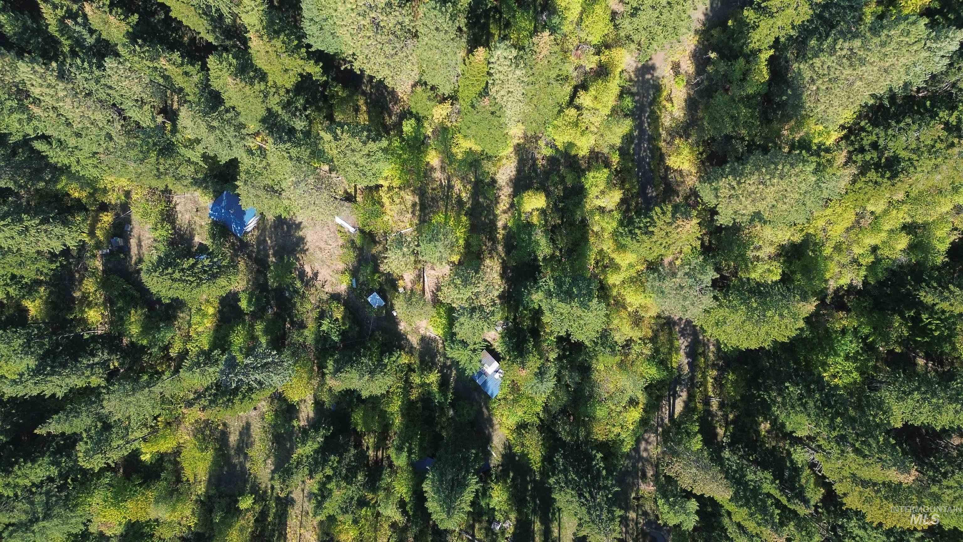 1893 Tom Ho Rd, Orofino, Idaho 83544, Residential For Sale, Price $239,000, 98964455