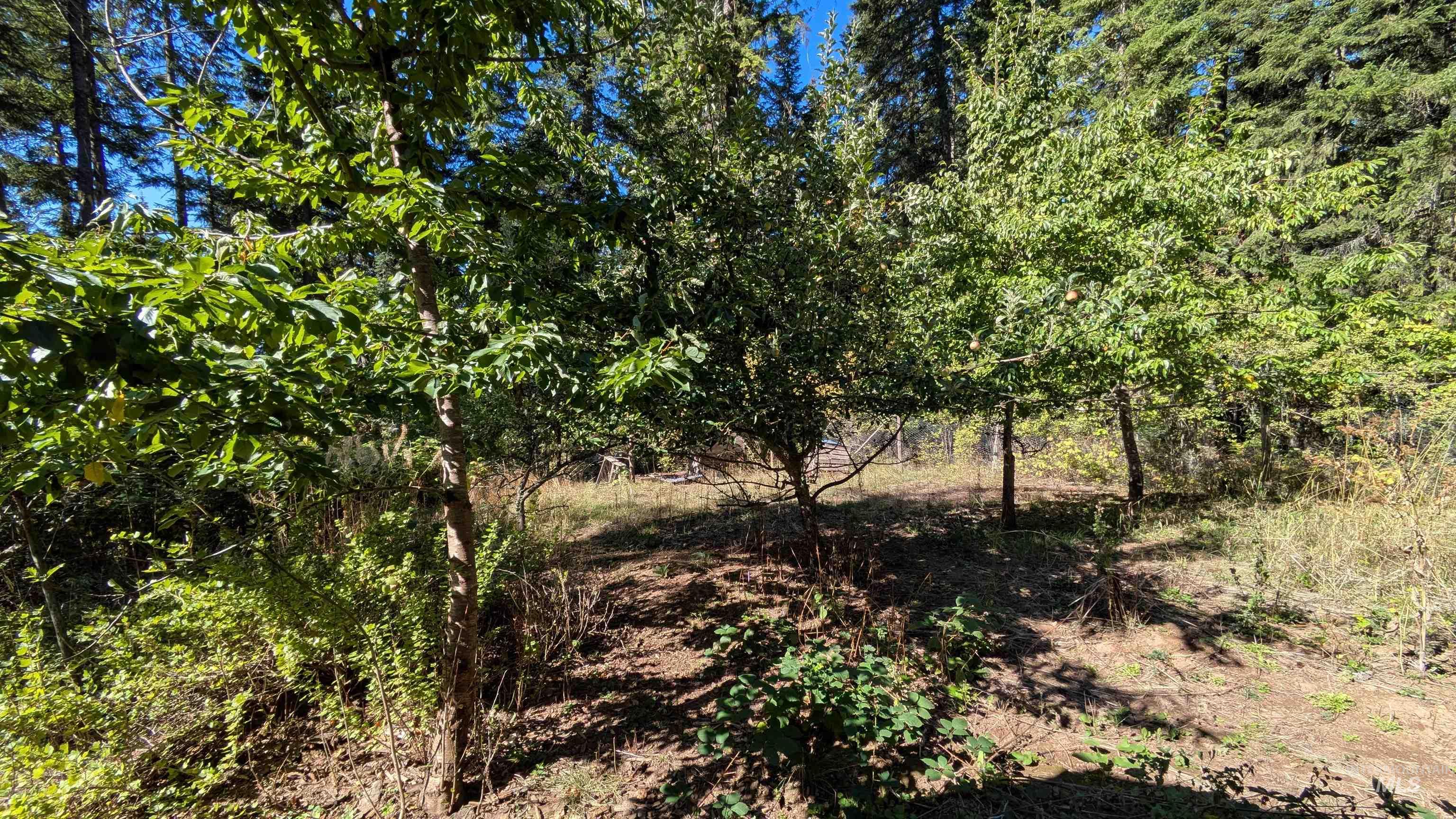 1893 Tom Ho Rd, Orofino, Idaho 83544, Residential For Sale, Price $239,000, 98964455