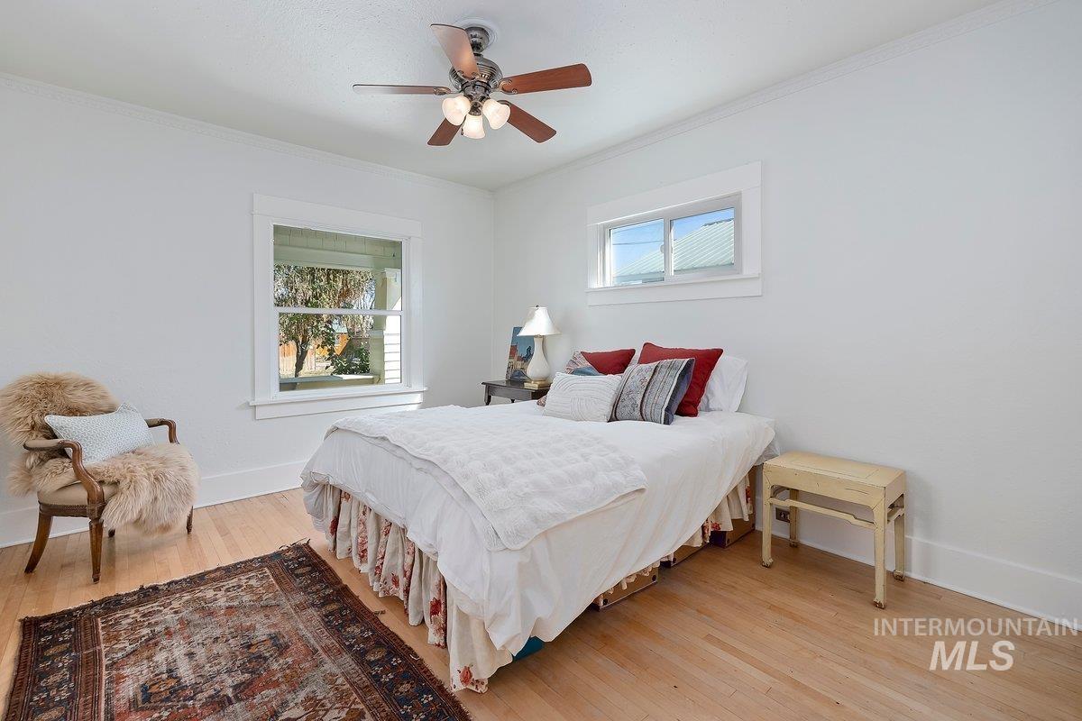 Bedroom featuring light wood finished floors, multiple windows, ornamental molding, and ceiling fan