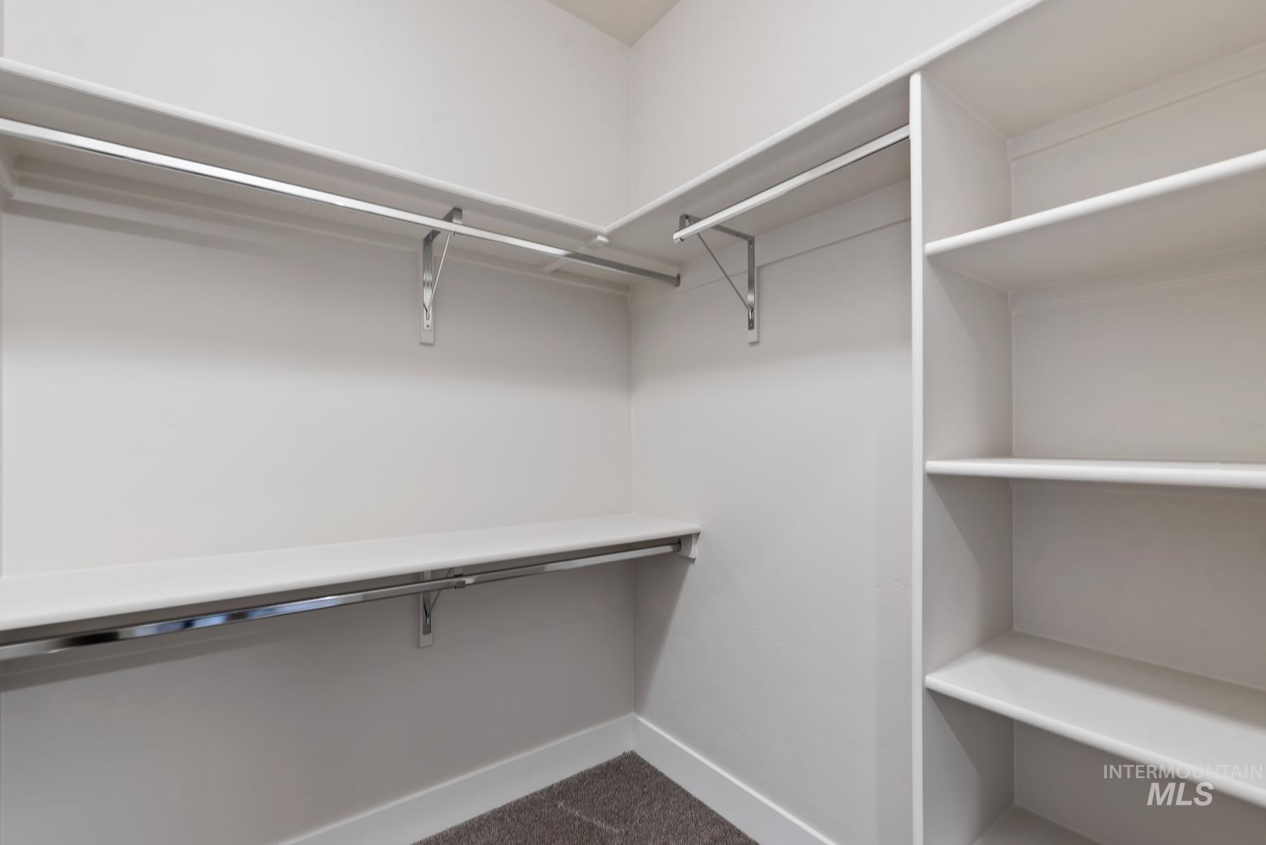 Walk in closet with dark colored carpet