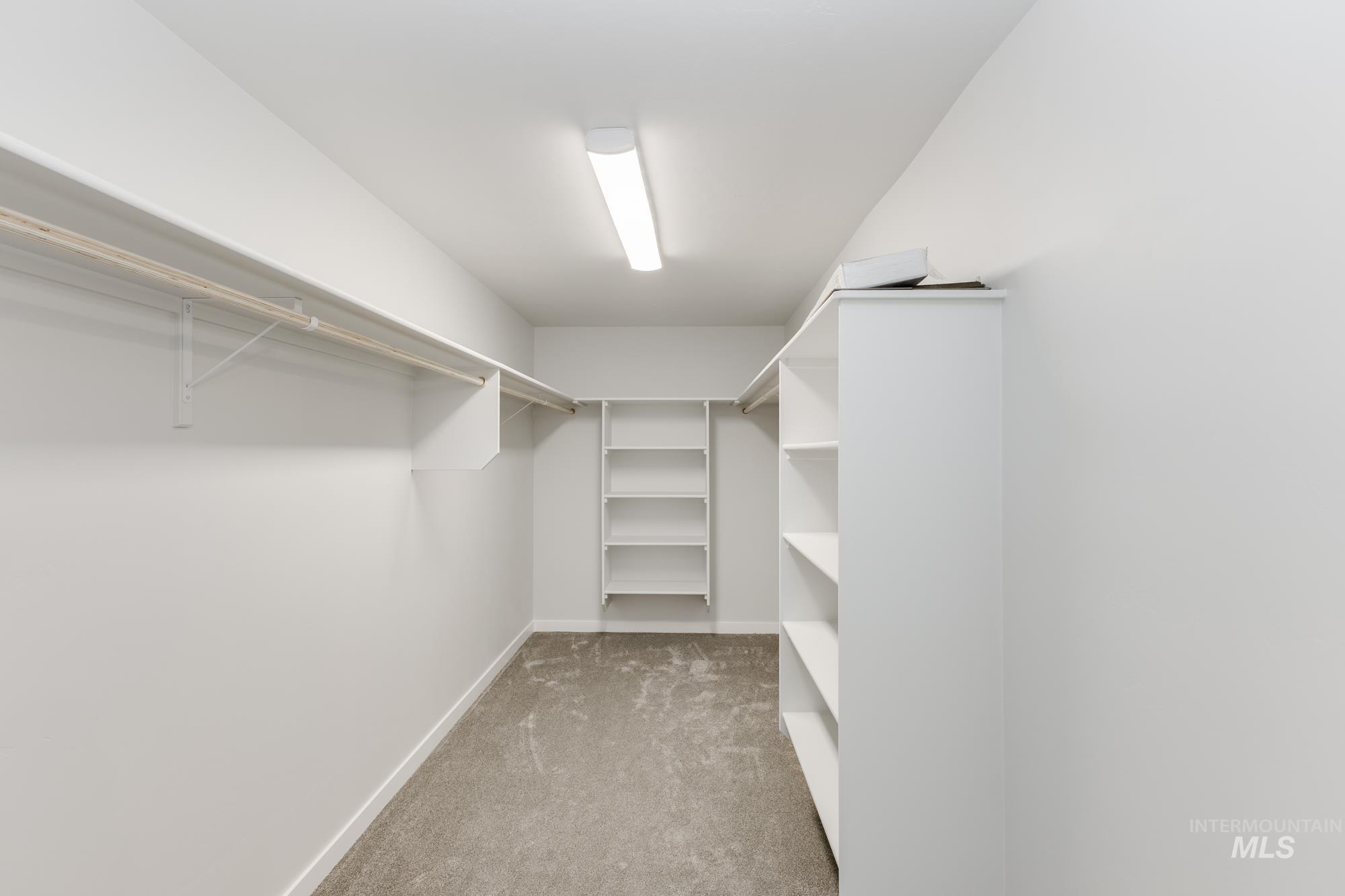 Spacious closet with light carpet