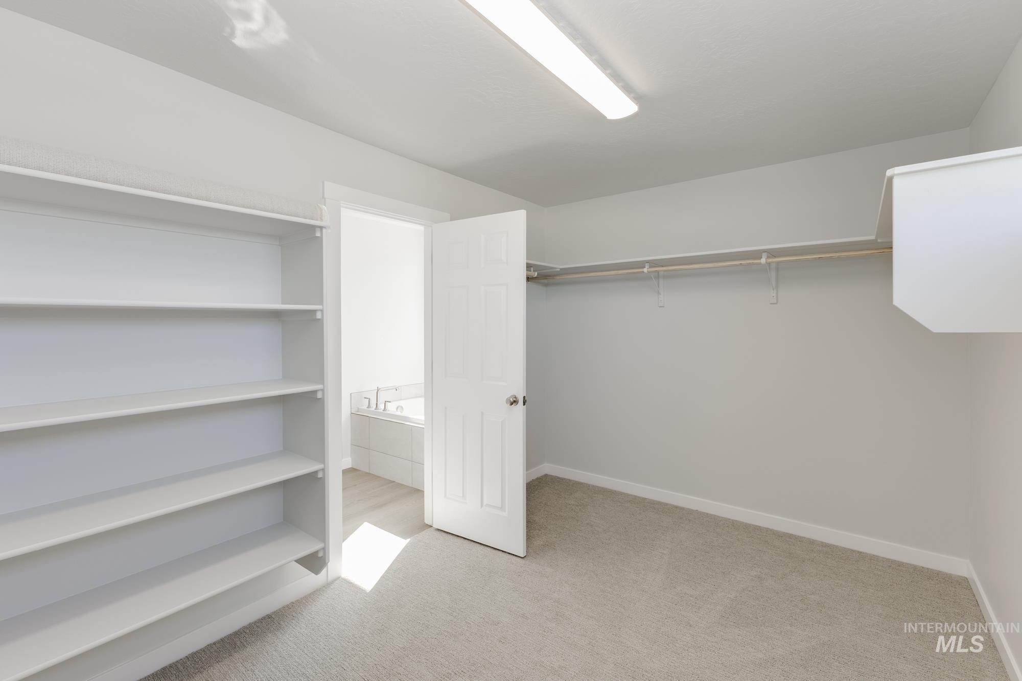 Walk in closet featuring light colored carpet