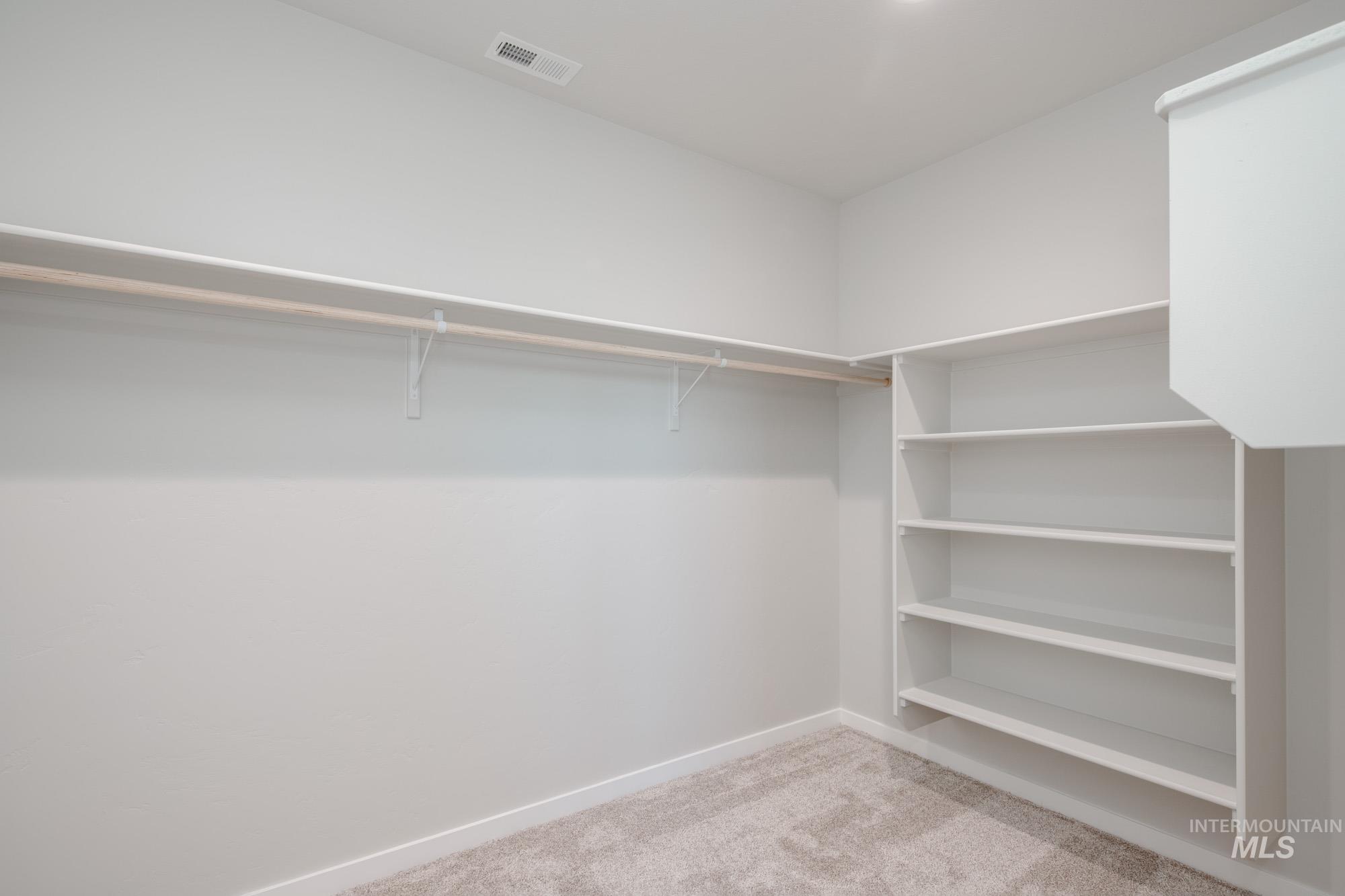Spacious closet with light colored carpet