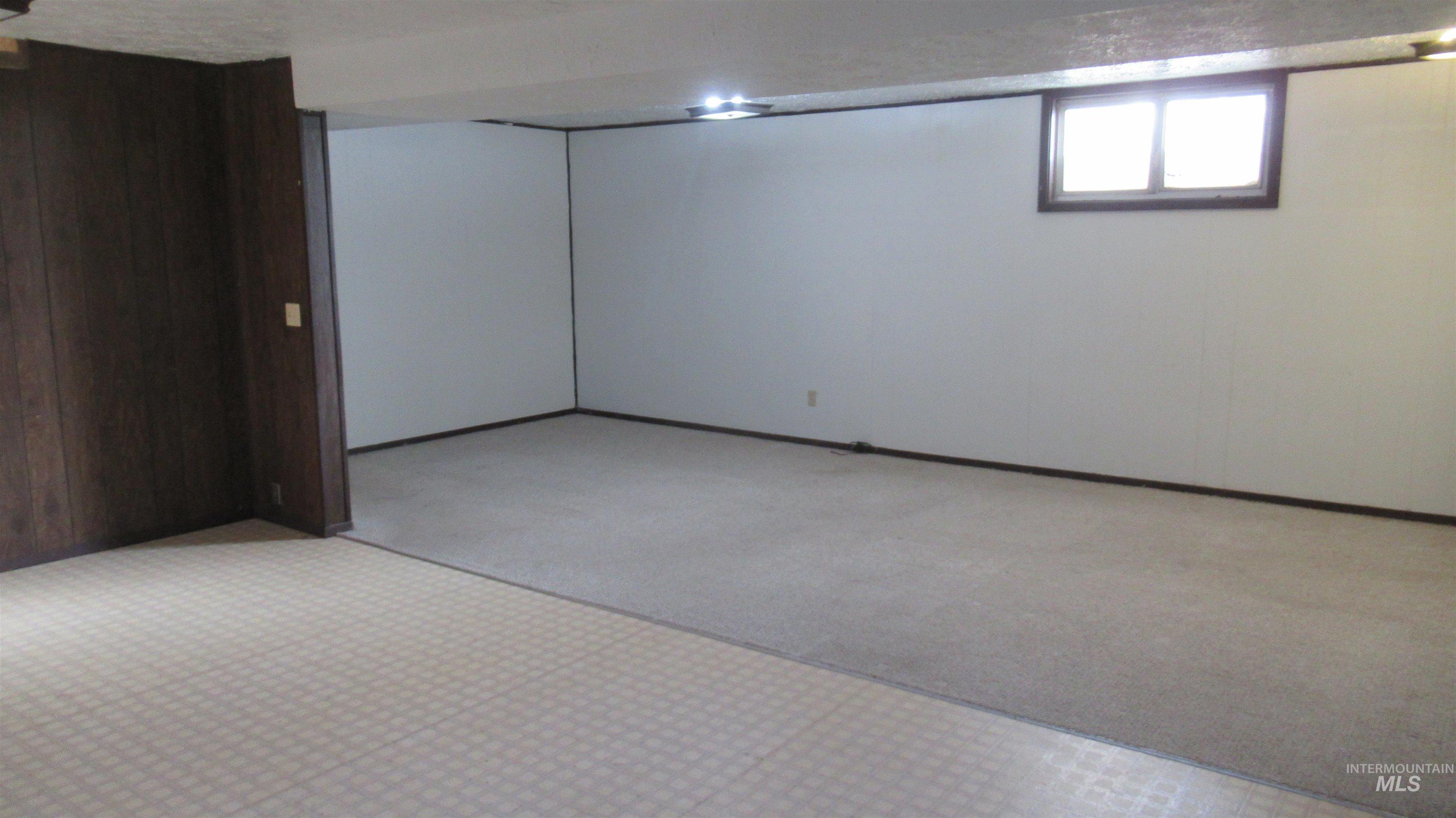 Basement with wooden walls