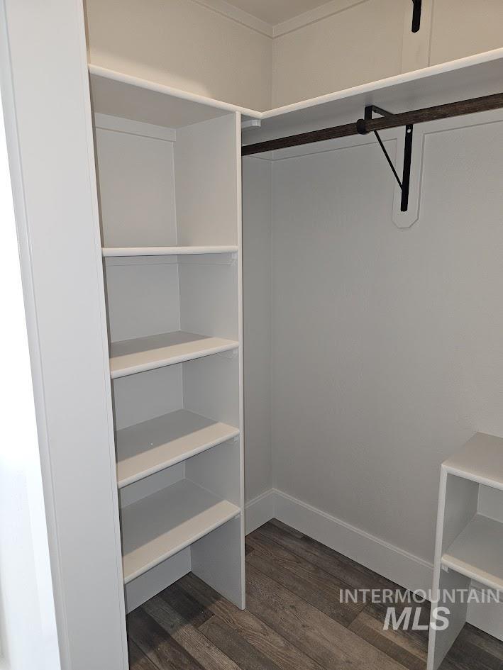 Walk in closet with dark wood-type flooring