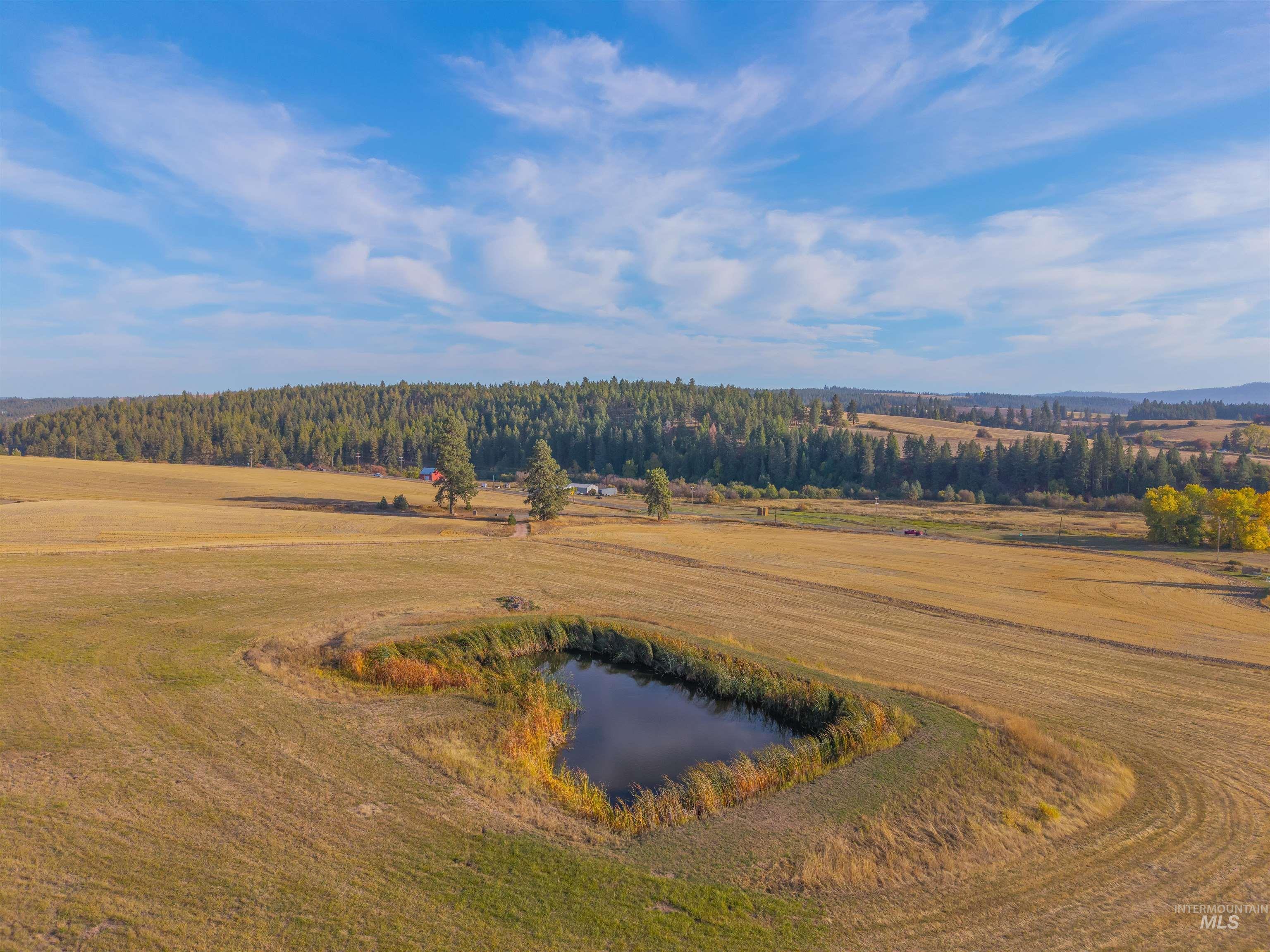 1028 Gold Hill Rd, Princeton, Idaho 83857, 3 Bedrooms, 2 Bathrooms, Residential For Sale, Price $678,000, 98964590