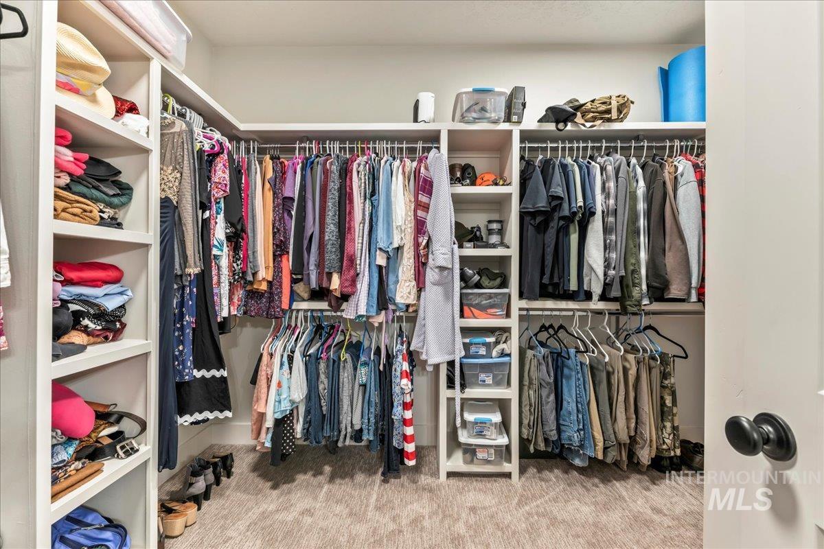 Spacious closet featuring light carpet