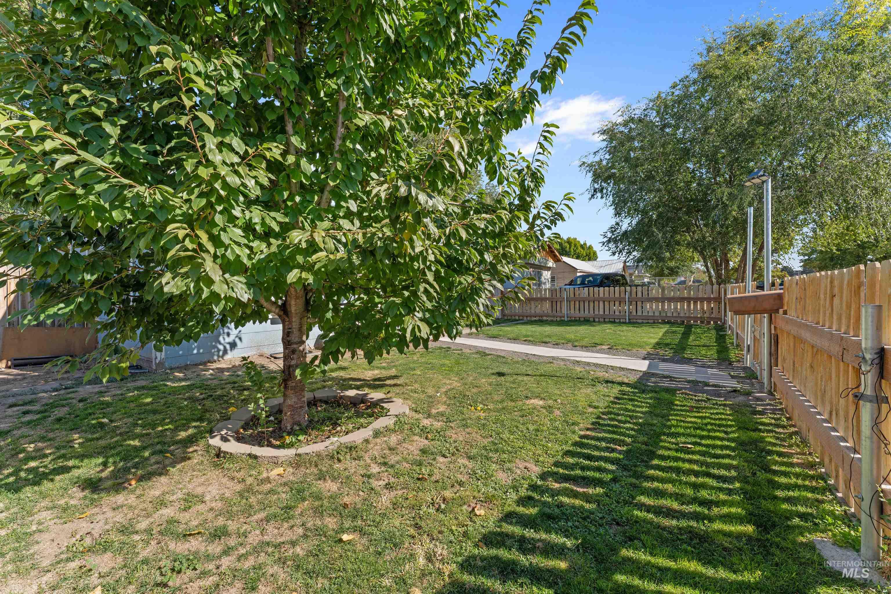 View of fenced backyard