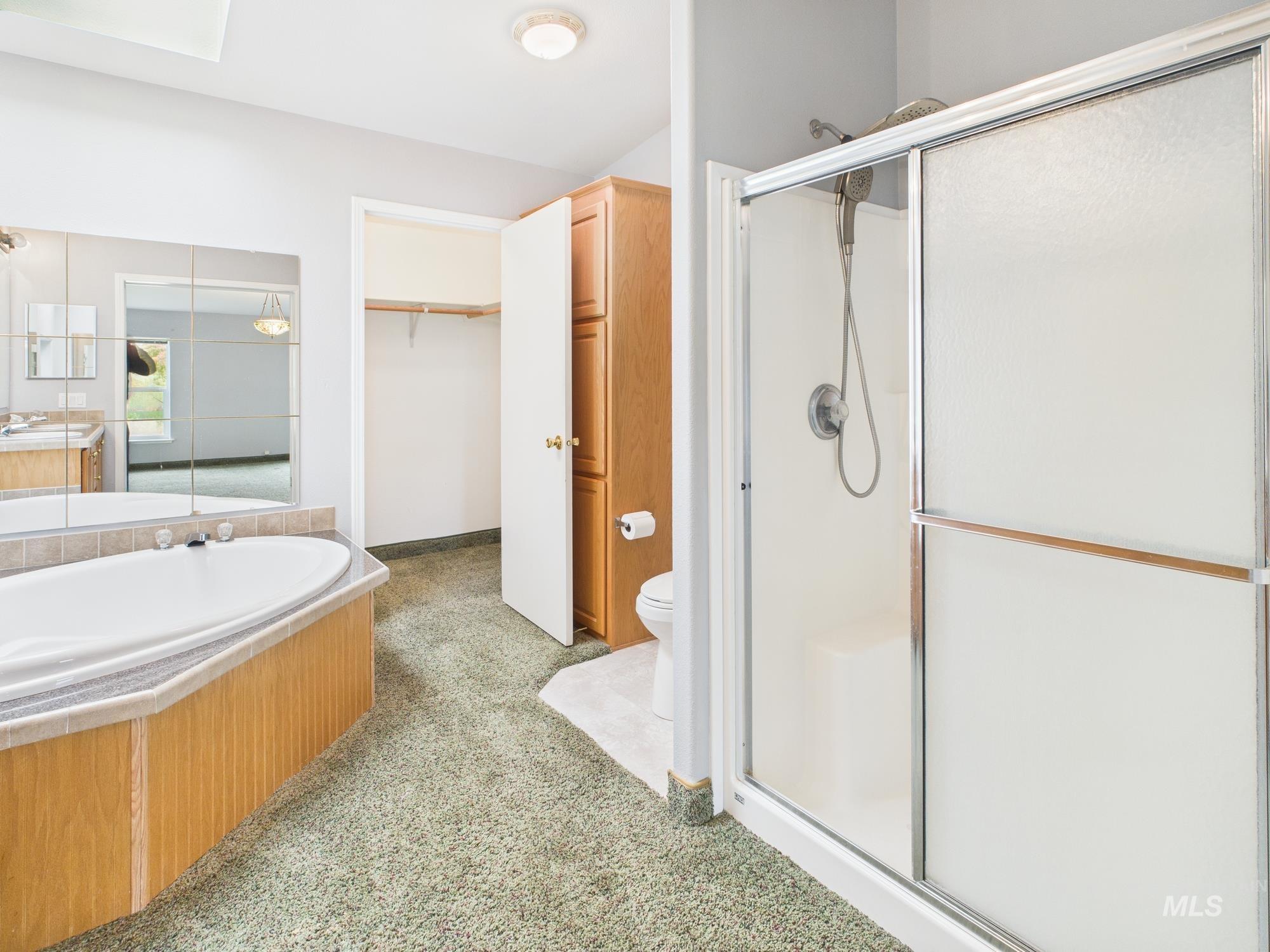 Full bathroom featuring light colored carpet, a stall shower, vanity, a garden tub, and a spacious closet