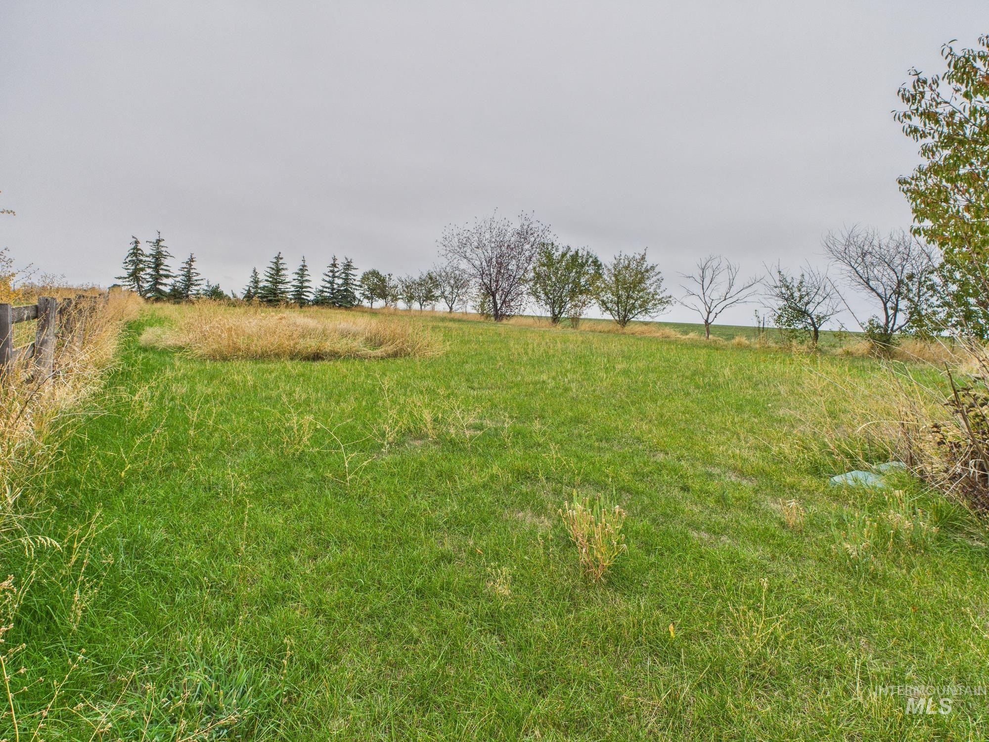View of yard with a view of rural / pastoral area