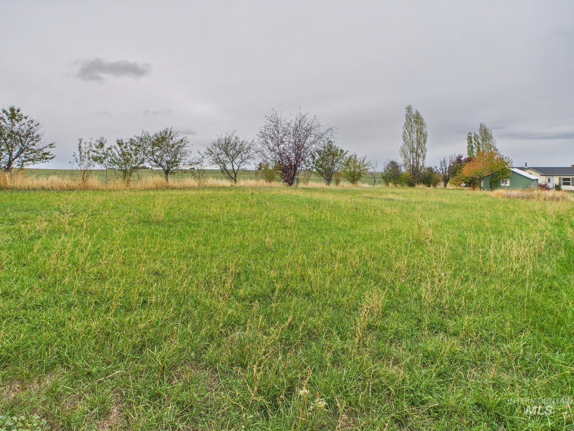 View of yard with a view of rural / pastoral area