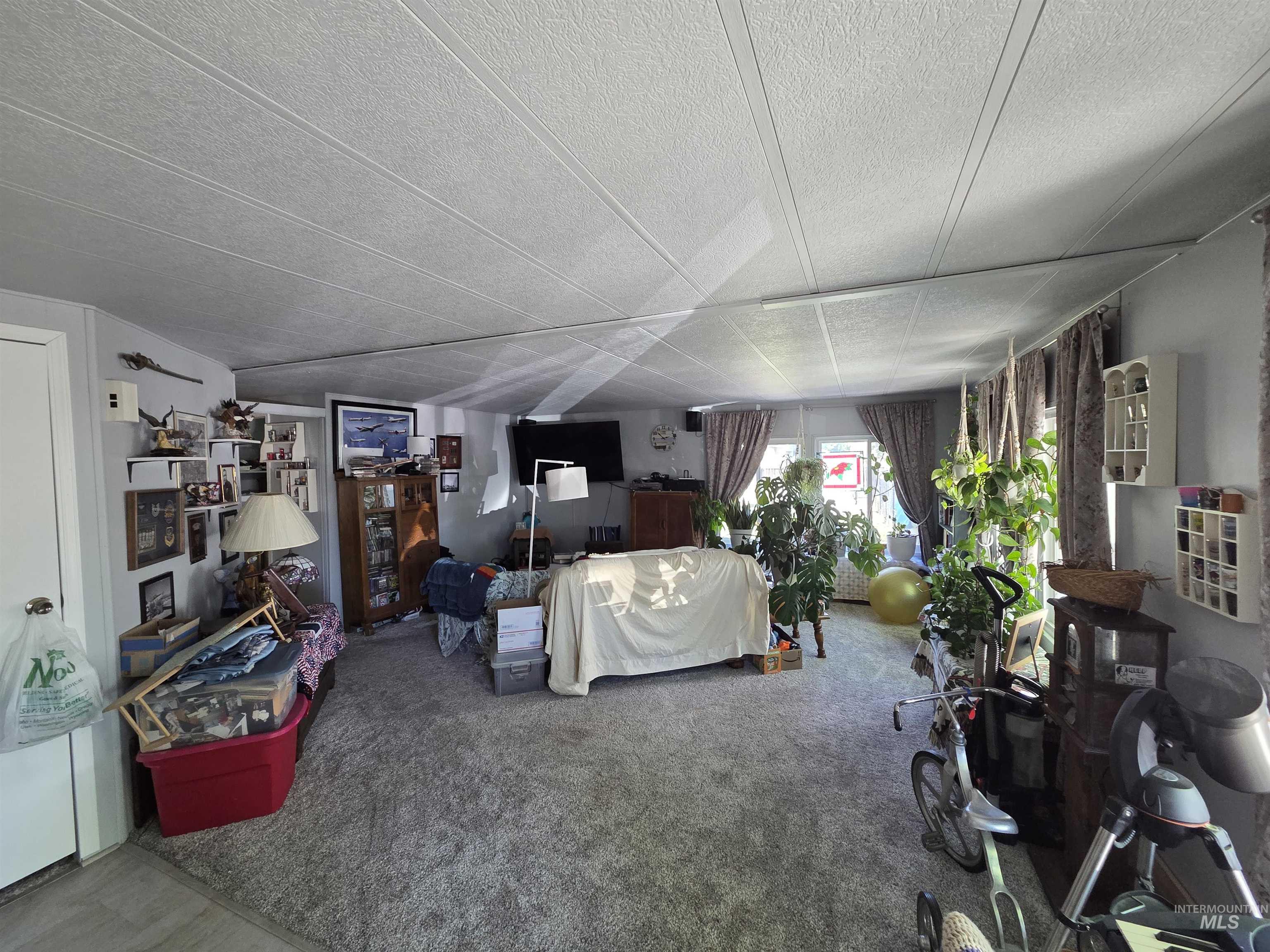 Living room with carpet flooring and a textured ceiling