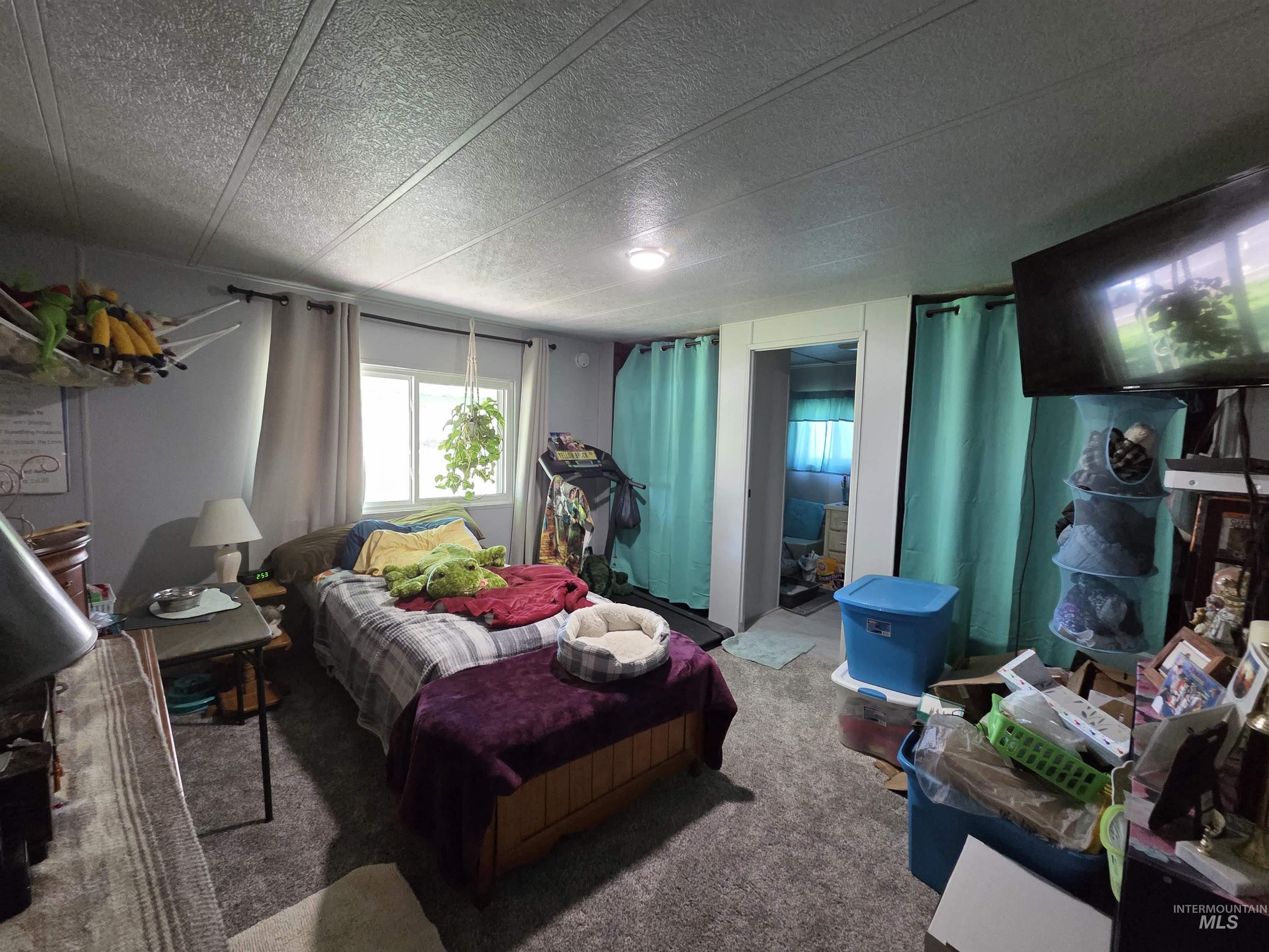Bedroom with carpet floors and a textured ceiling