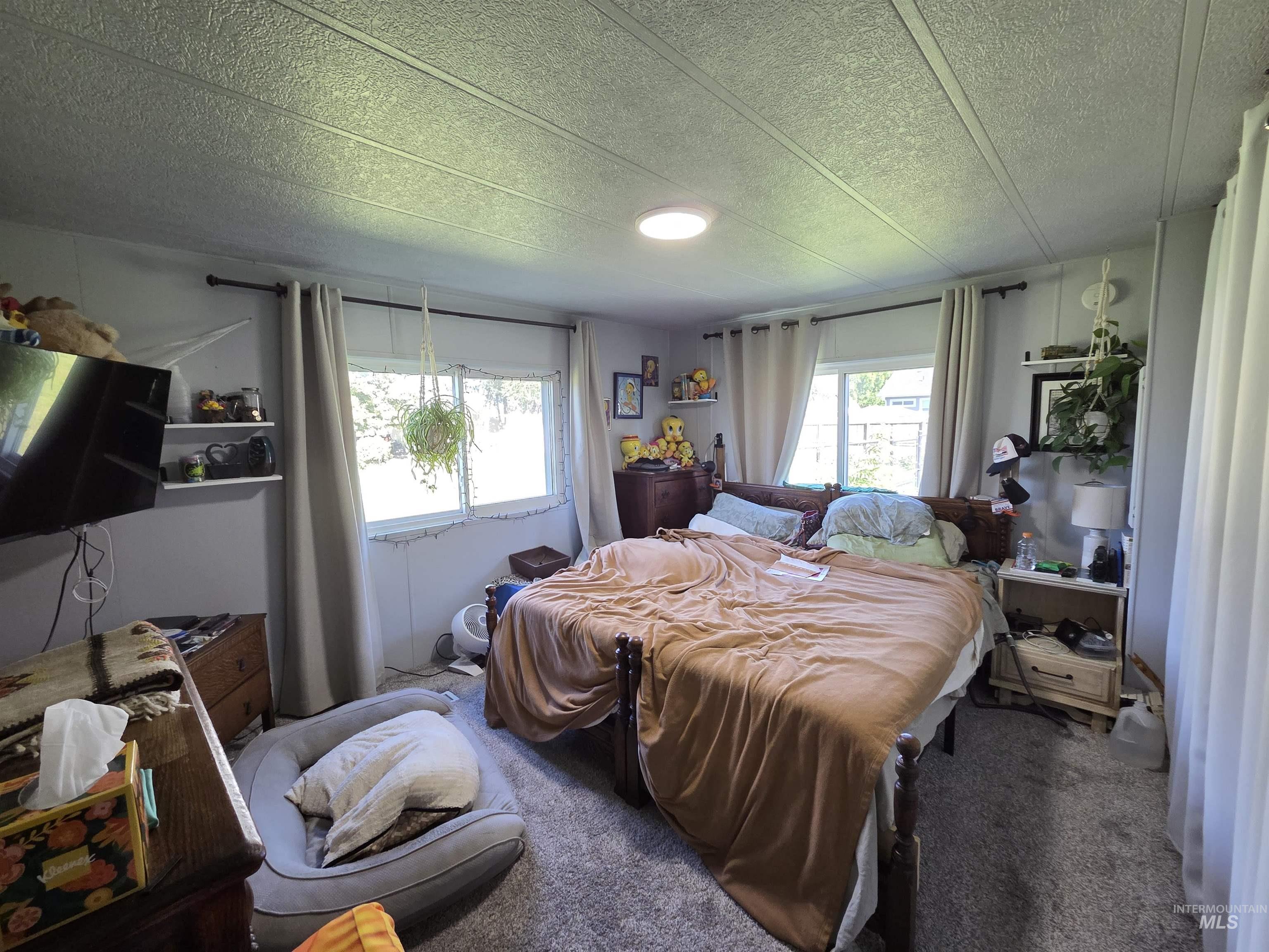Carpeted bedroom with a textured ceiling