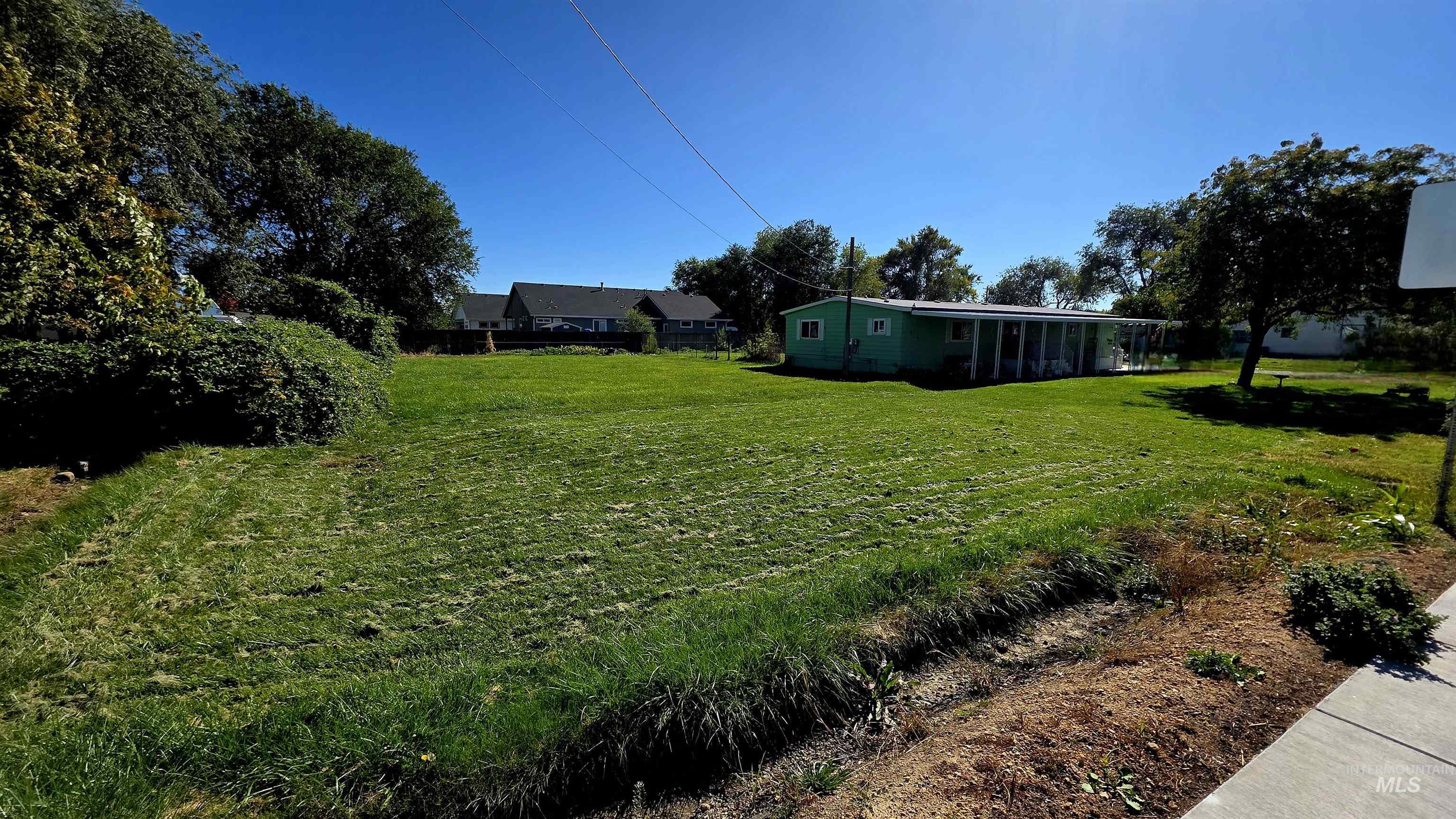 View of grassy yard