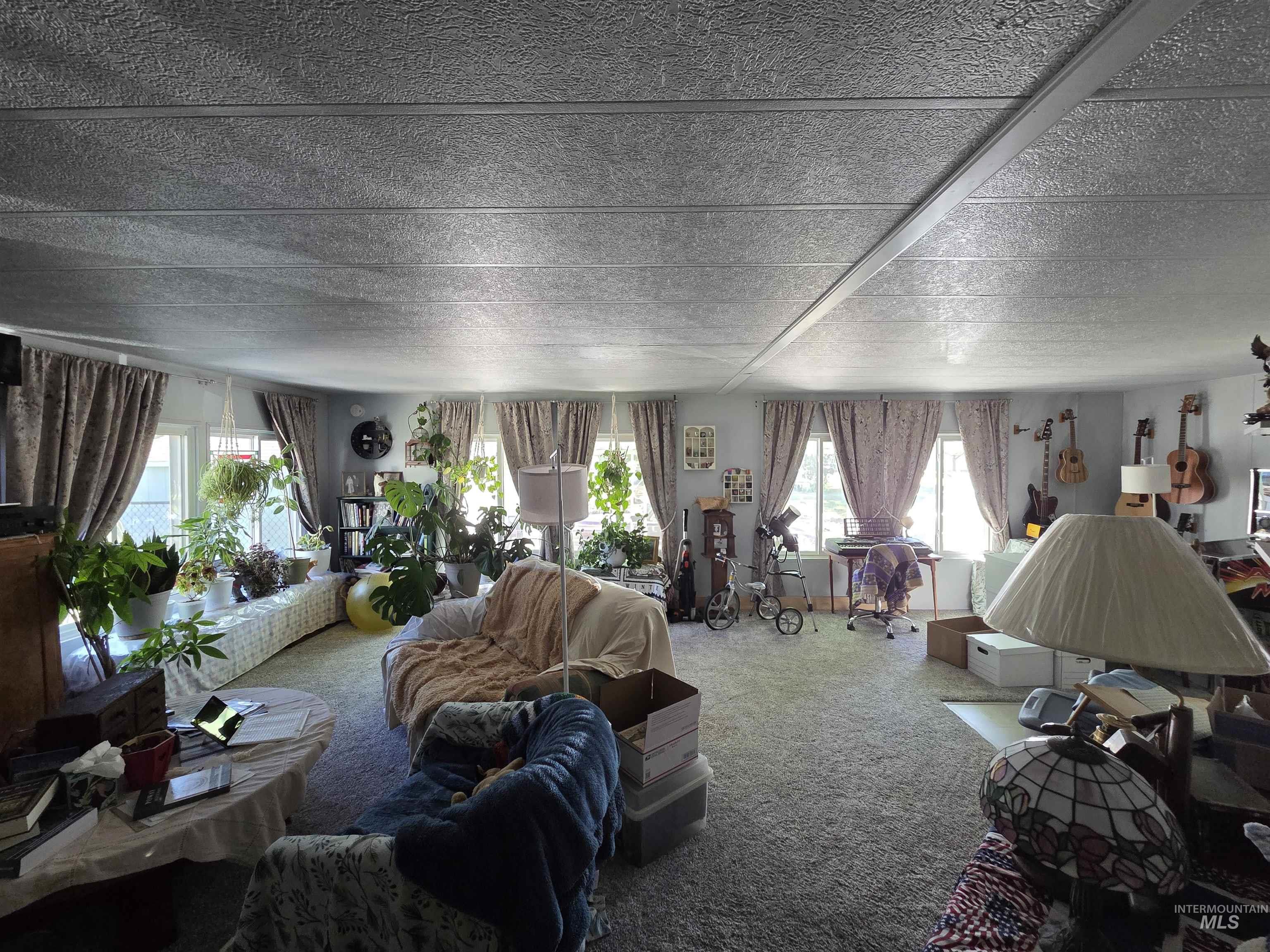 Living area with carpet floors