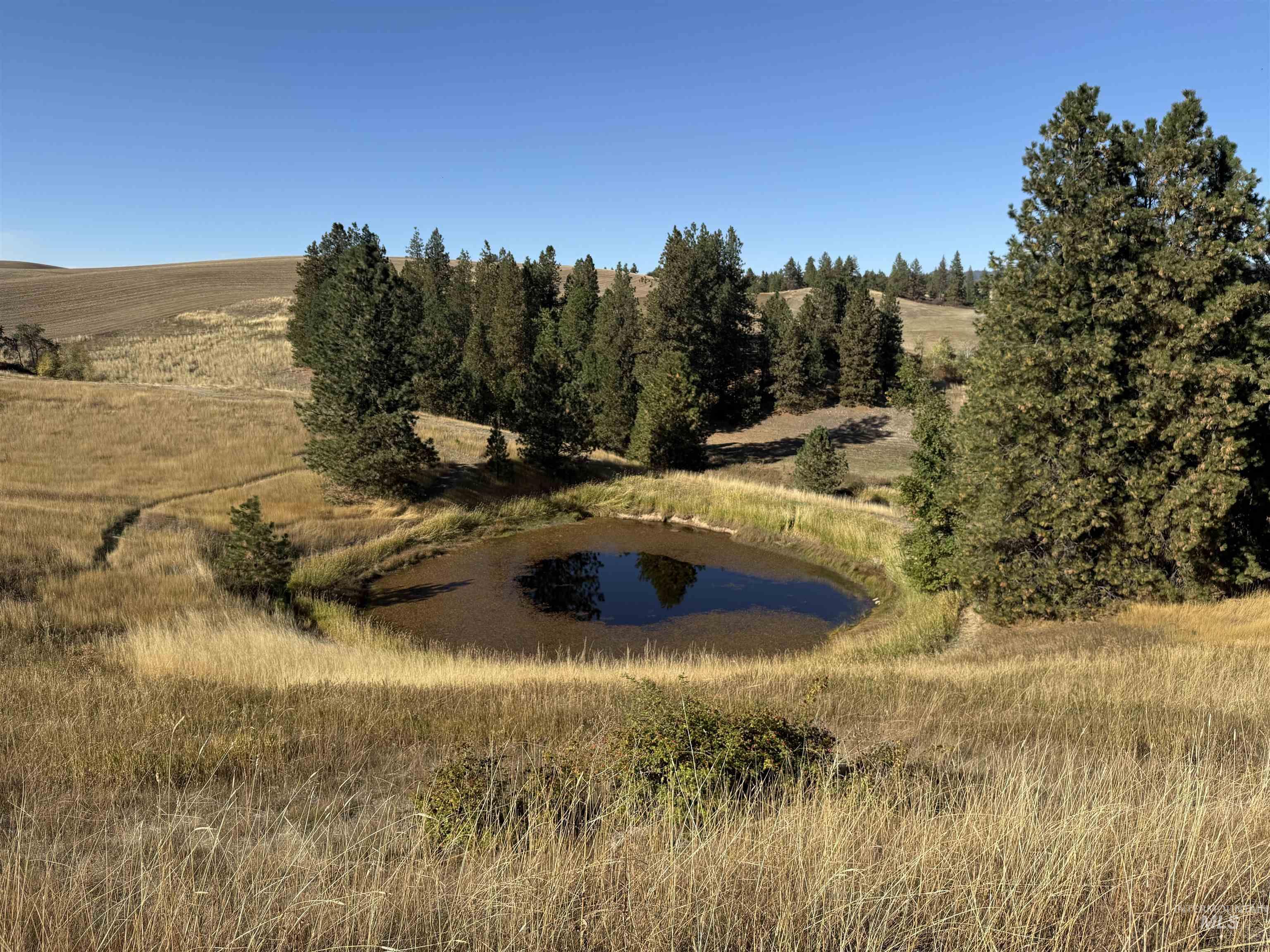 View of undeveloped land with a large body of water