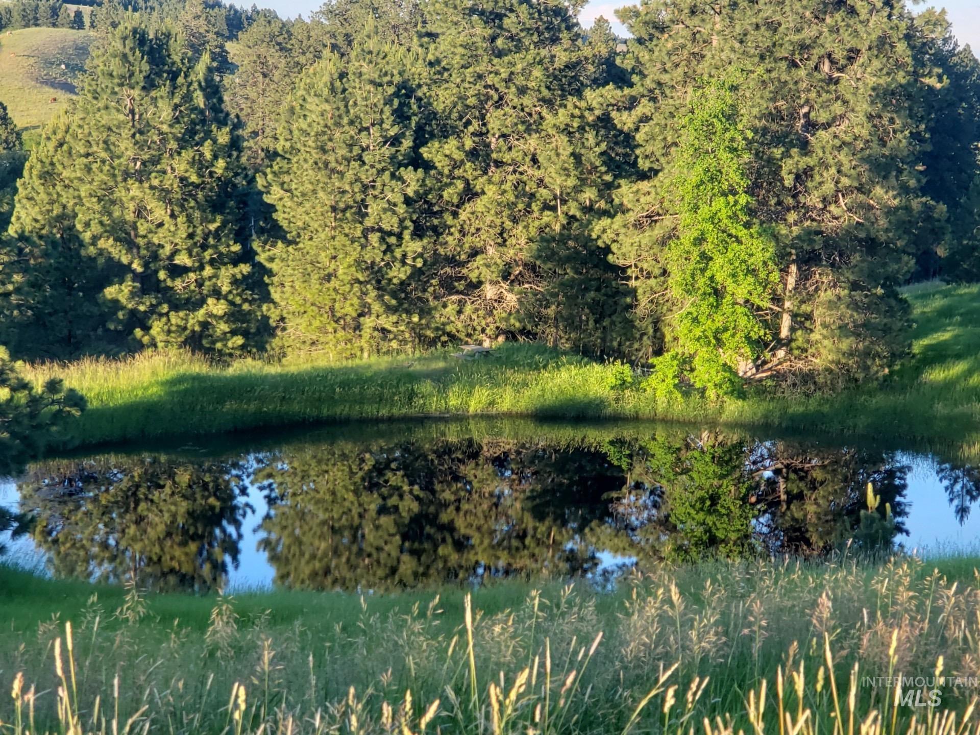 Water view