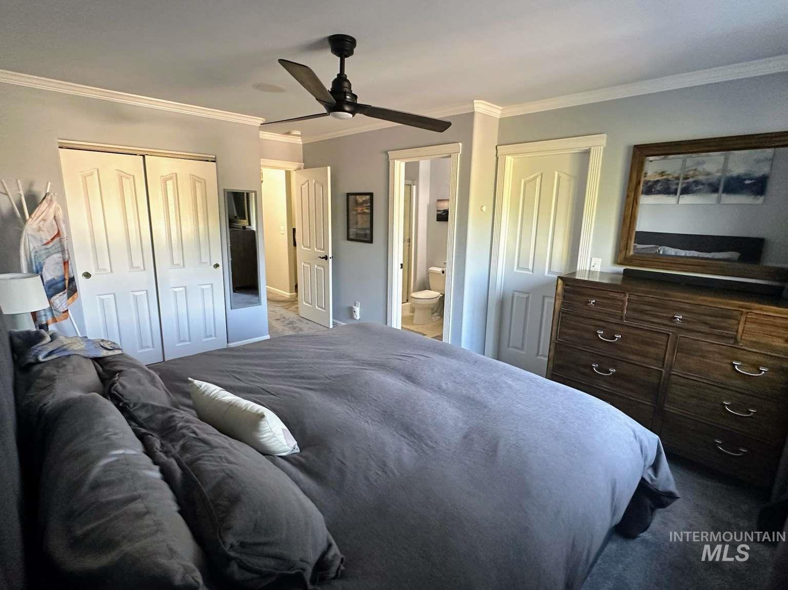 Carpeted bedroom featuring ornamental molding, a ceiling fan, and ensuite bath