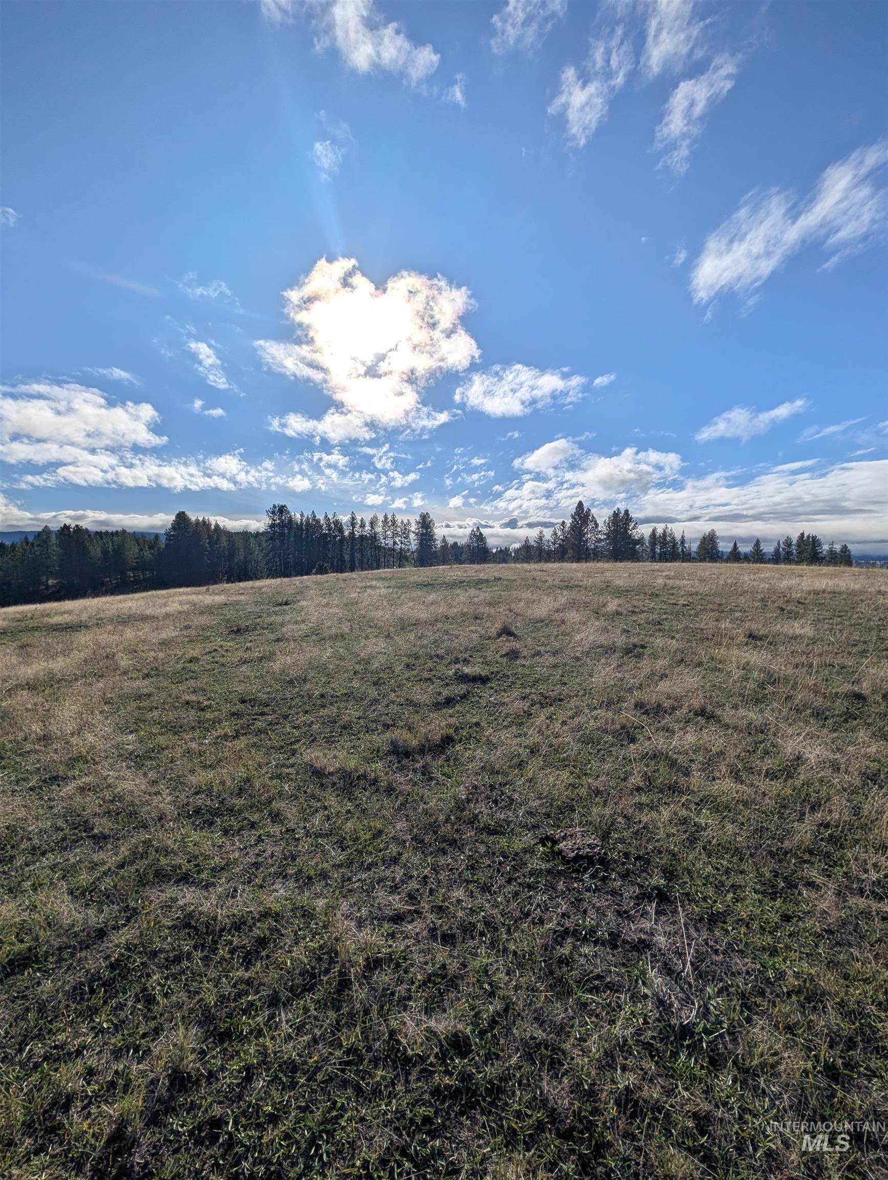 View of green lawn with a view of rural / pastoral area