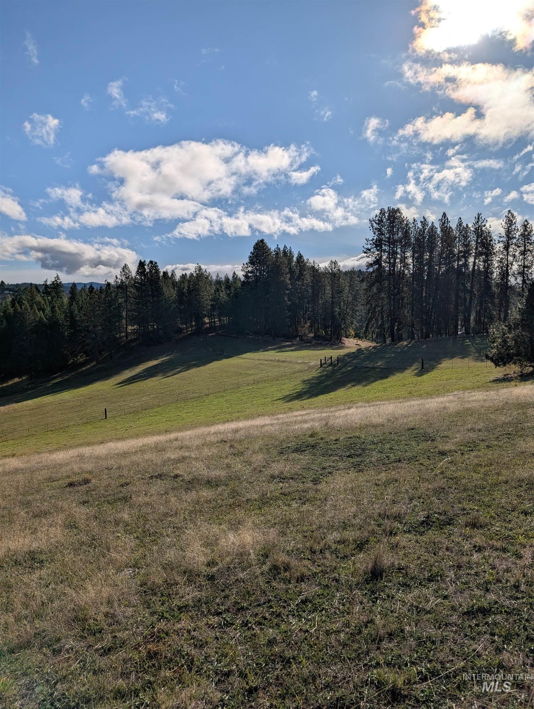 View of green lawn featuring a view of trees