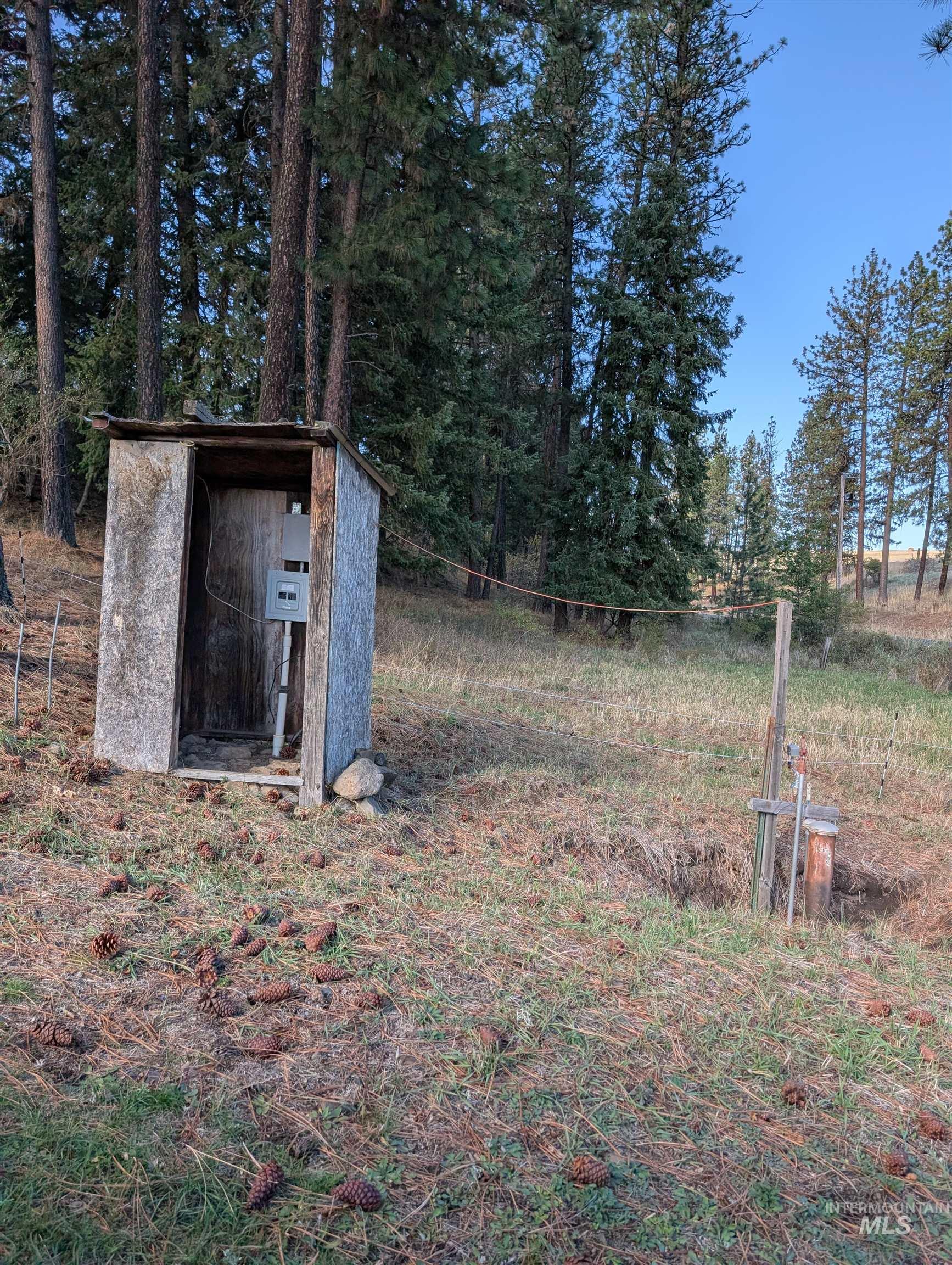 View of yard with a shed