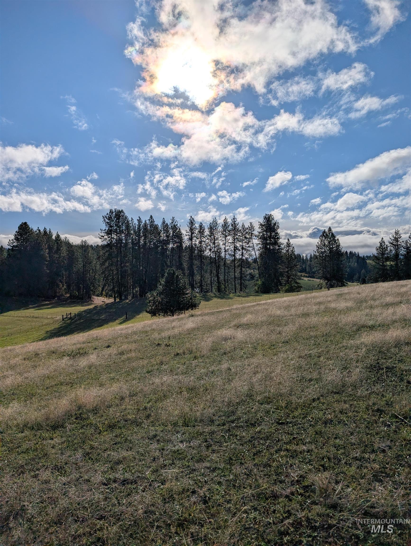 View of woods with a view of rural / pastoral area