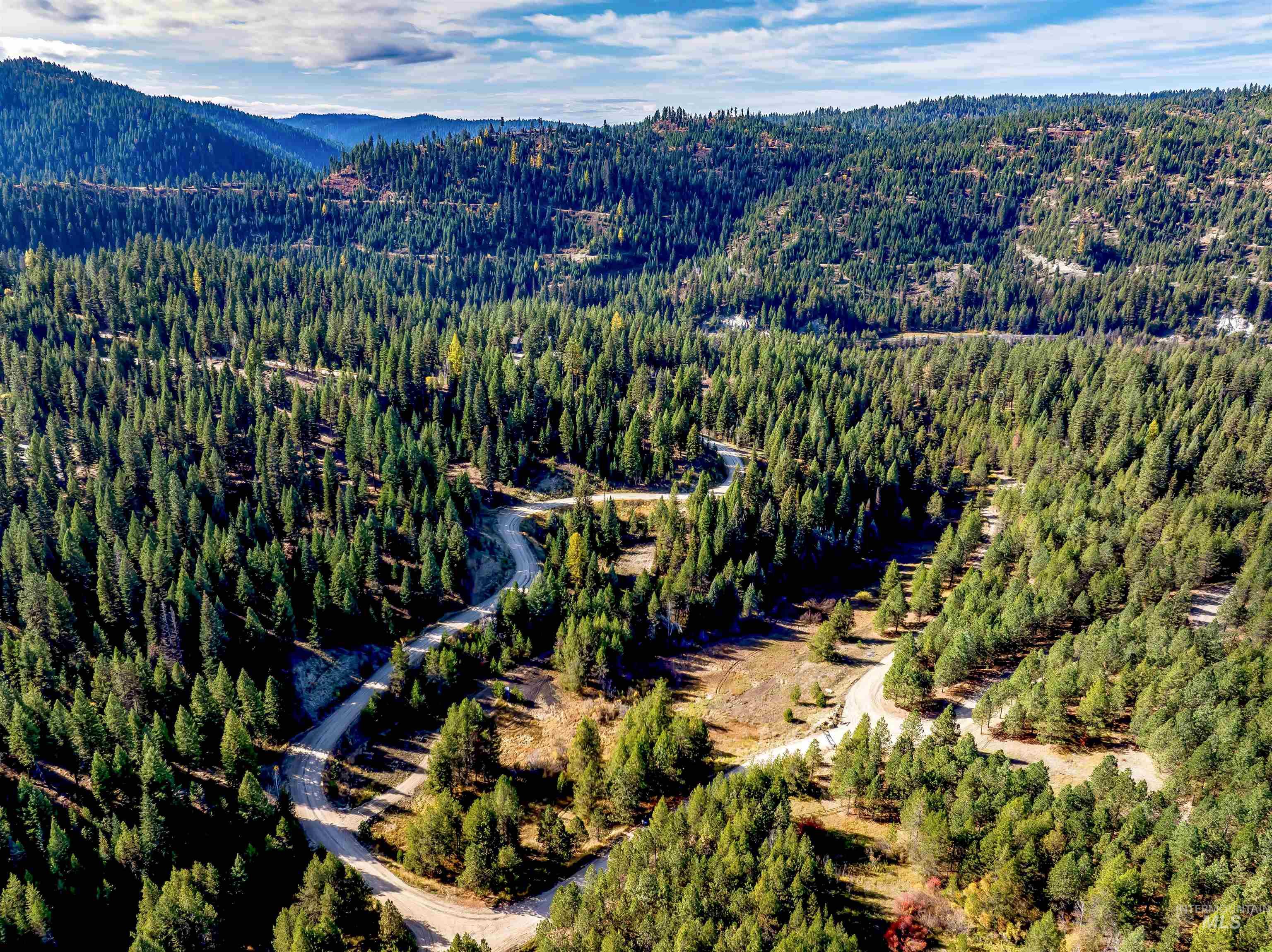 Drone / aerial view of mountains and a forest
