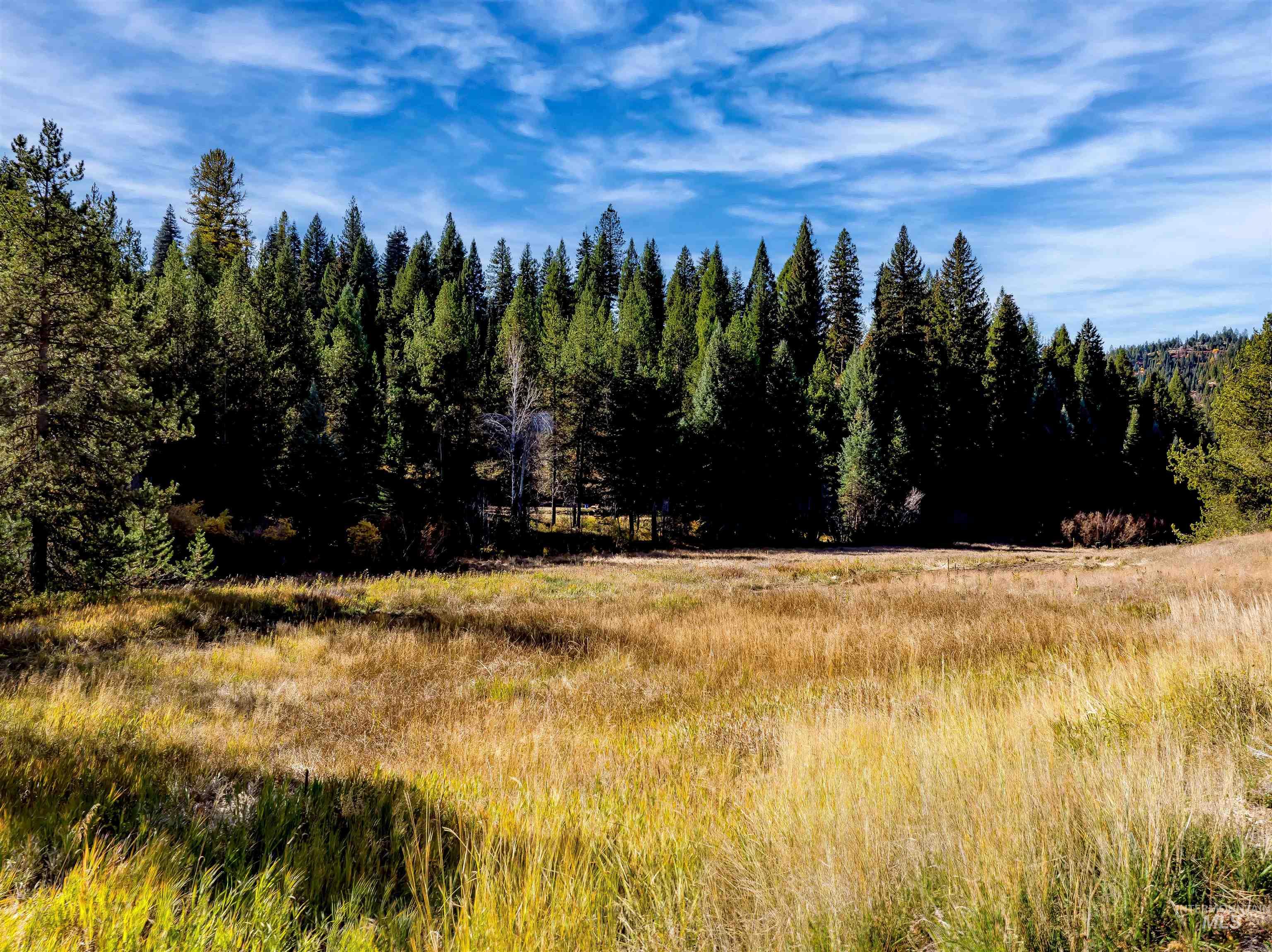 View of woods featuring a view of countryside