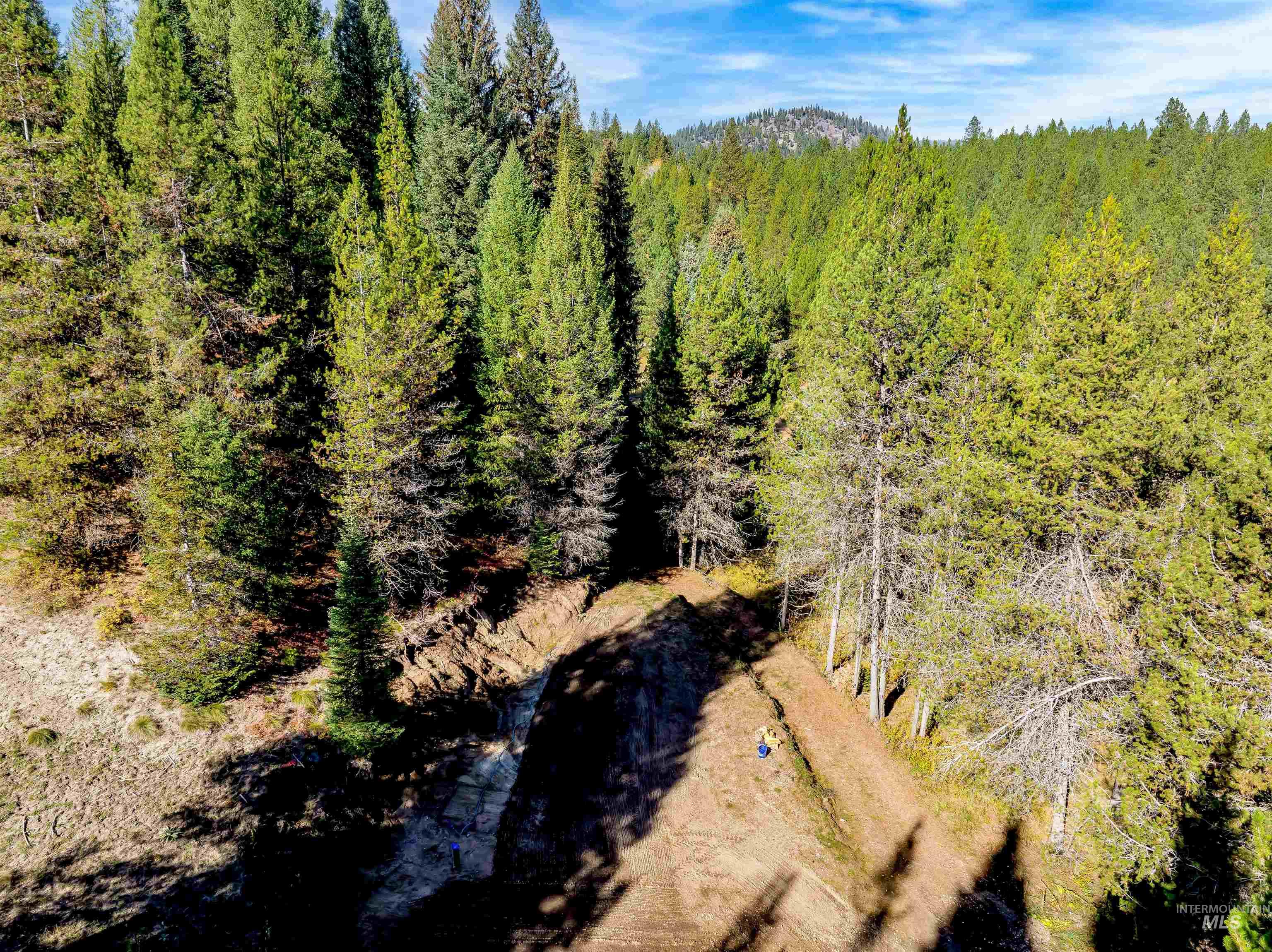 Bird's eye view of a heavily wooded area