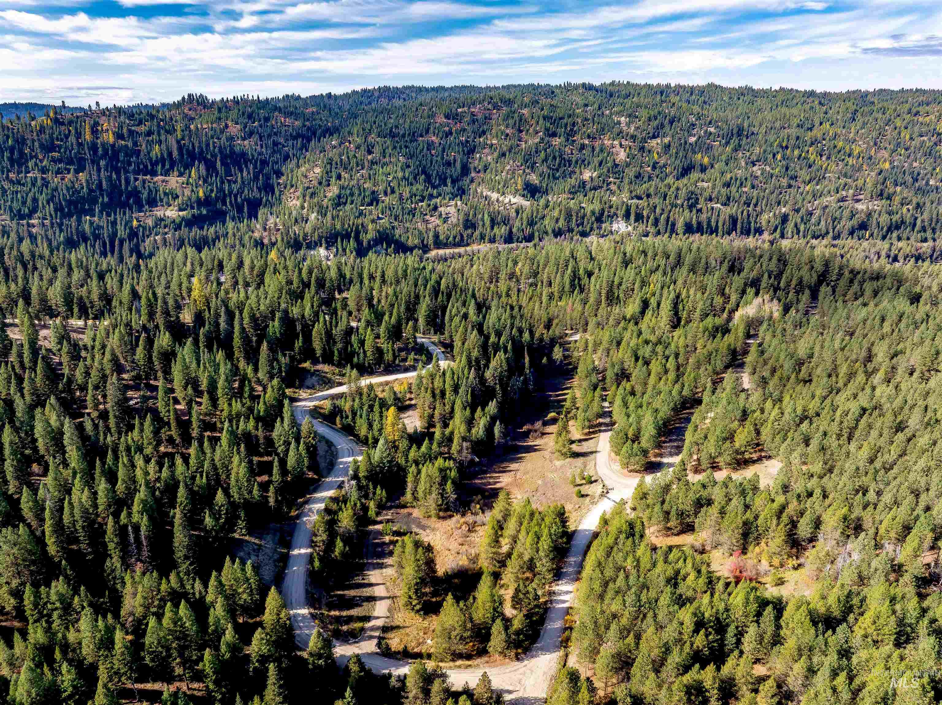 Aerial view of property's location with a heavily wooded area
