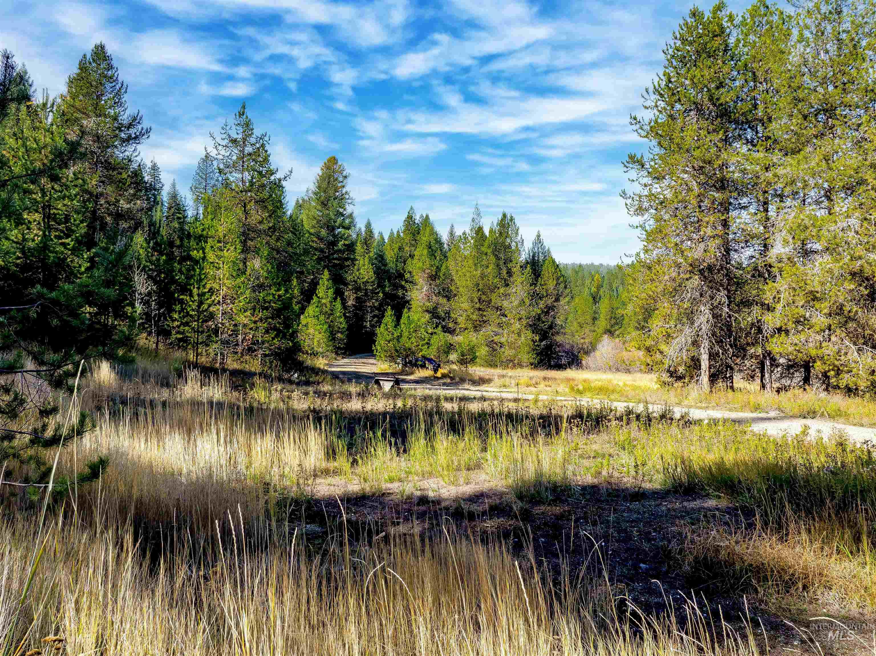 View of woods with a water view